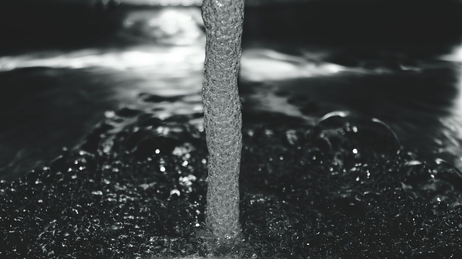 Sony DT 18-55mm F3.5-5.6 SAM II sample photo. Grayscale, photo, of, driftwood photography