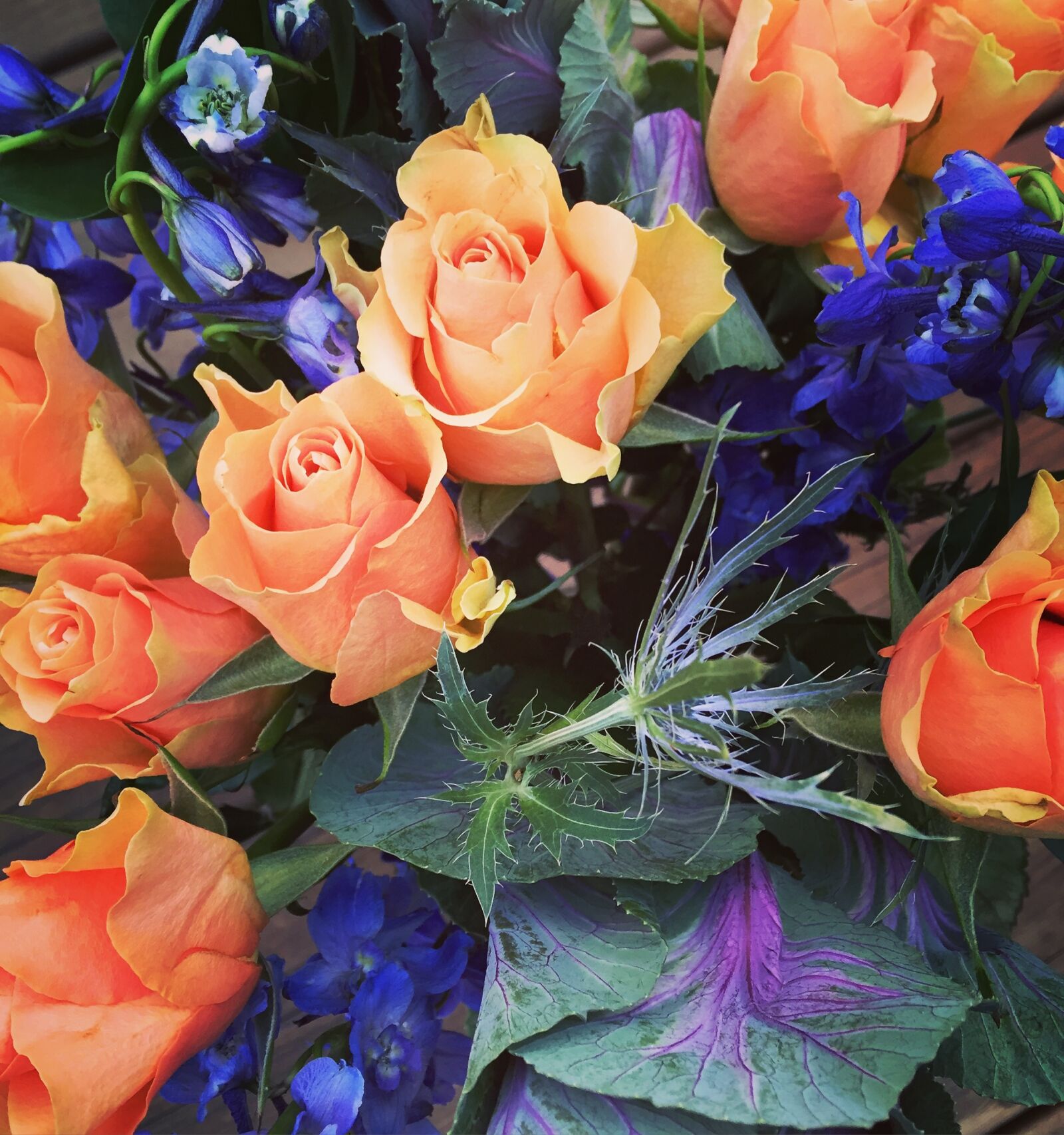 Apple iPhone 6 sample photo. Flowers, roses, cabbage photography