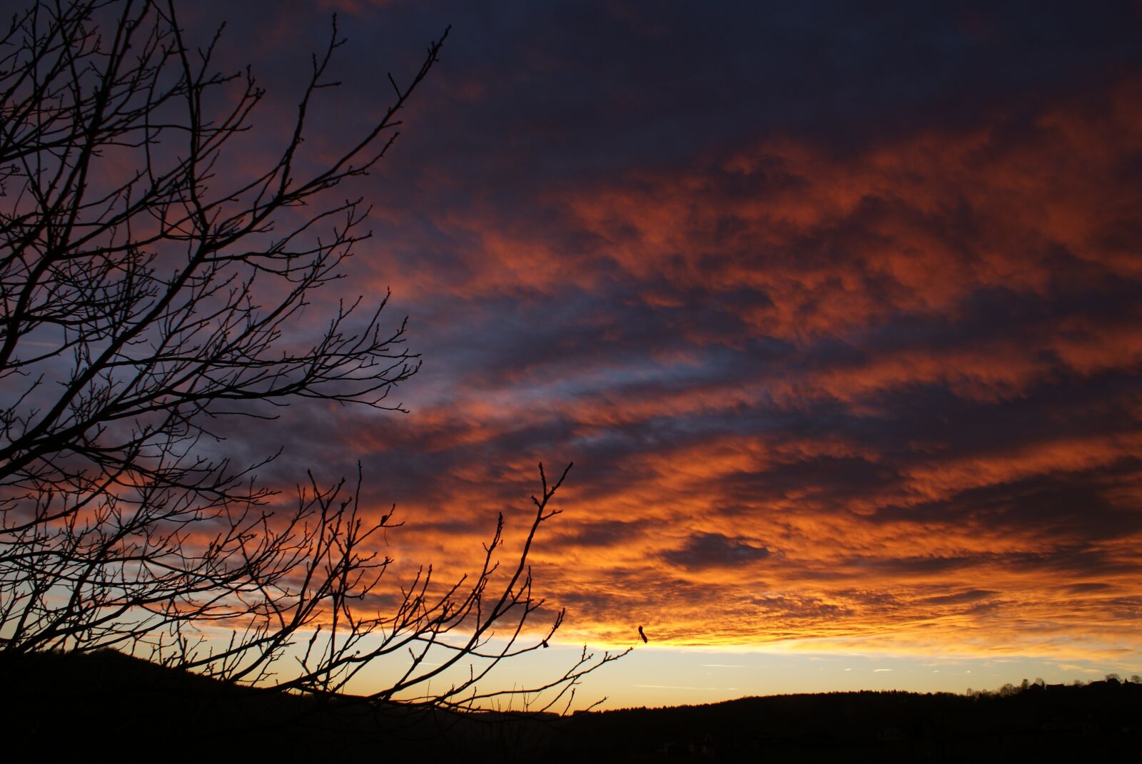 Sony Alpha DSLR-A300 sample photo. Evening, clouds, sunset photography