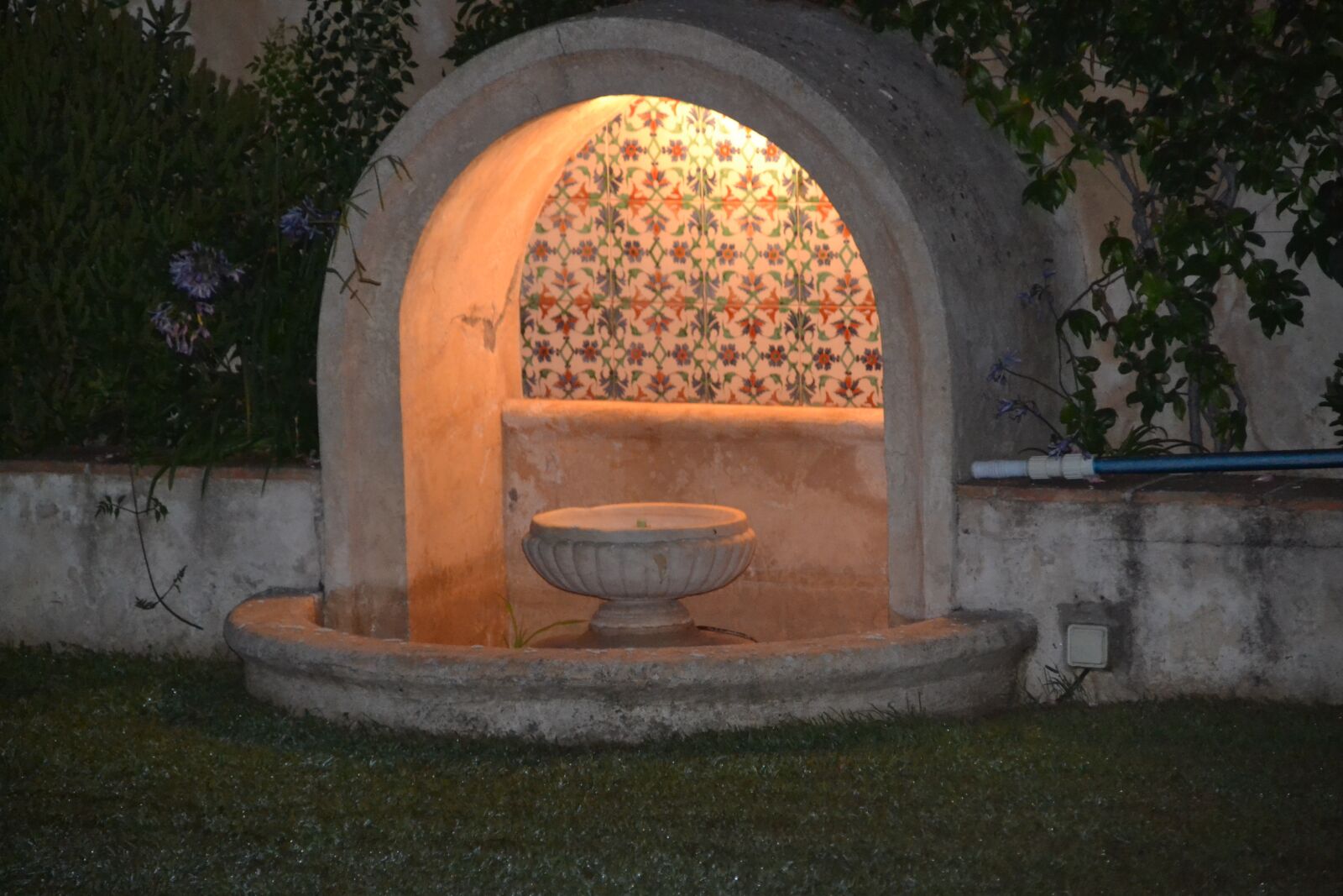 Nikon D3100 sample photo. Garden, beauty, light photography