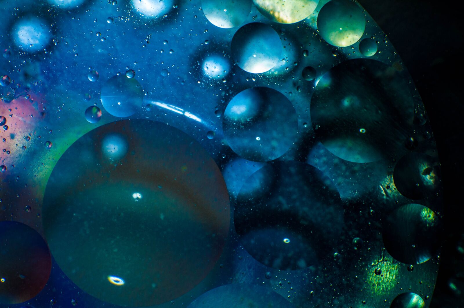 Nikon D90 sample photo. Macro, wheels, colors photography