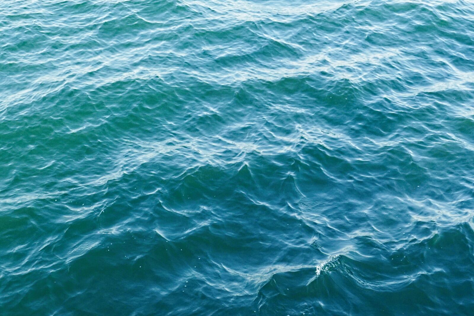Panasonic Lumix DMC-FZ1000 sample photo. Sea, waves, wadden sea photography
