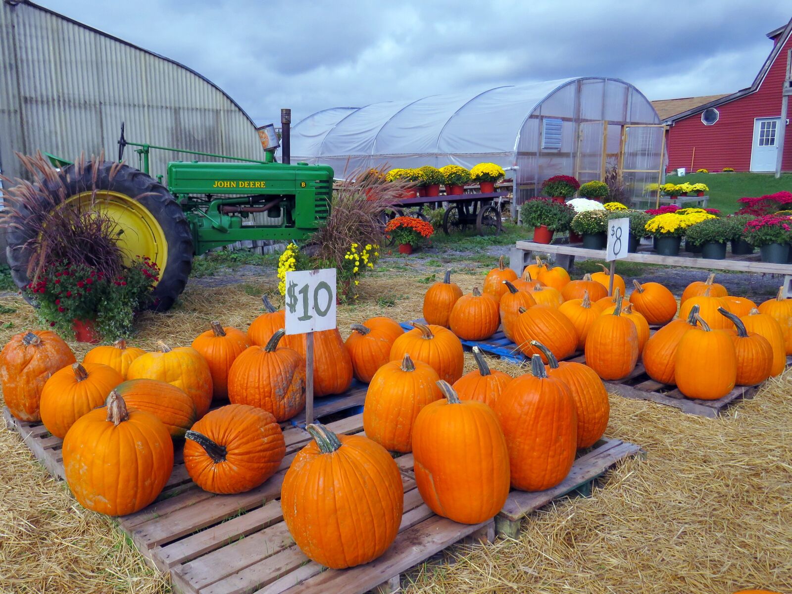 Canon PowerShot SX60 HS sample photo. Farm, pumpkins, pumpkin farm photography