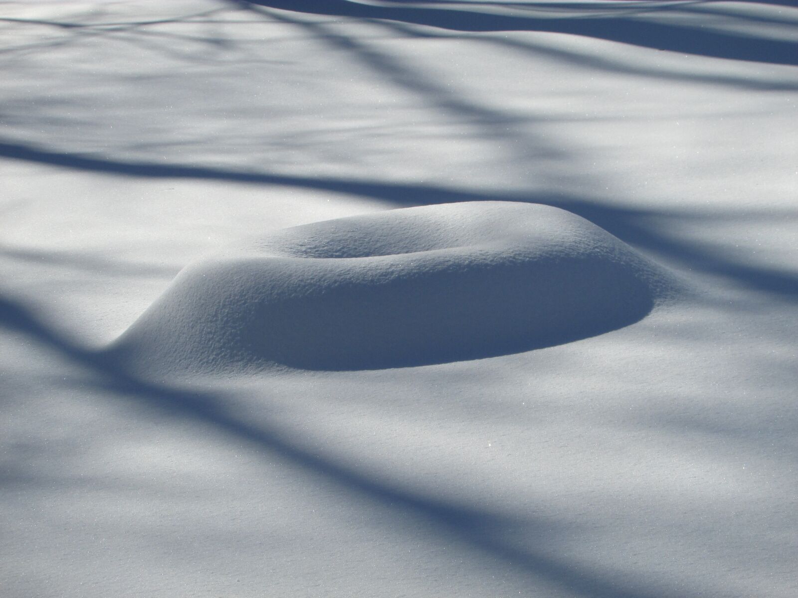 Canon PowerShot SX400 IS sample photo. Snow, winter, winter wonderland photography