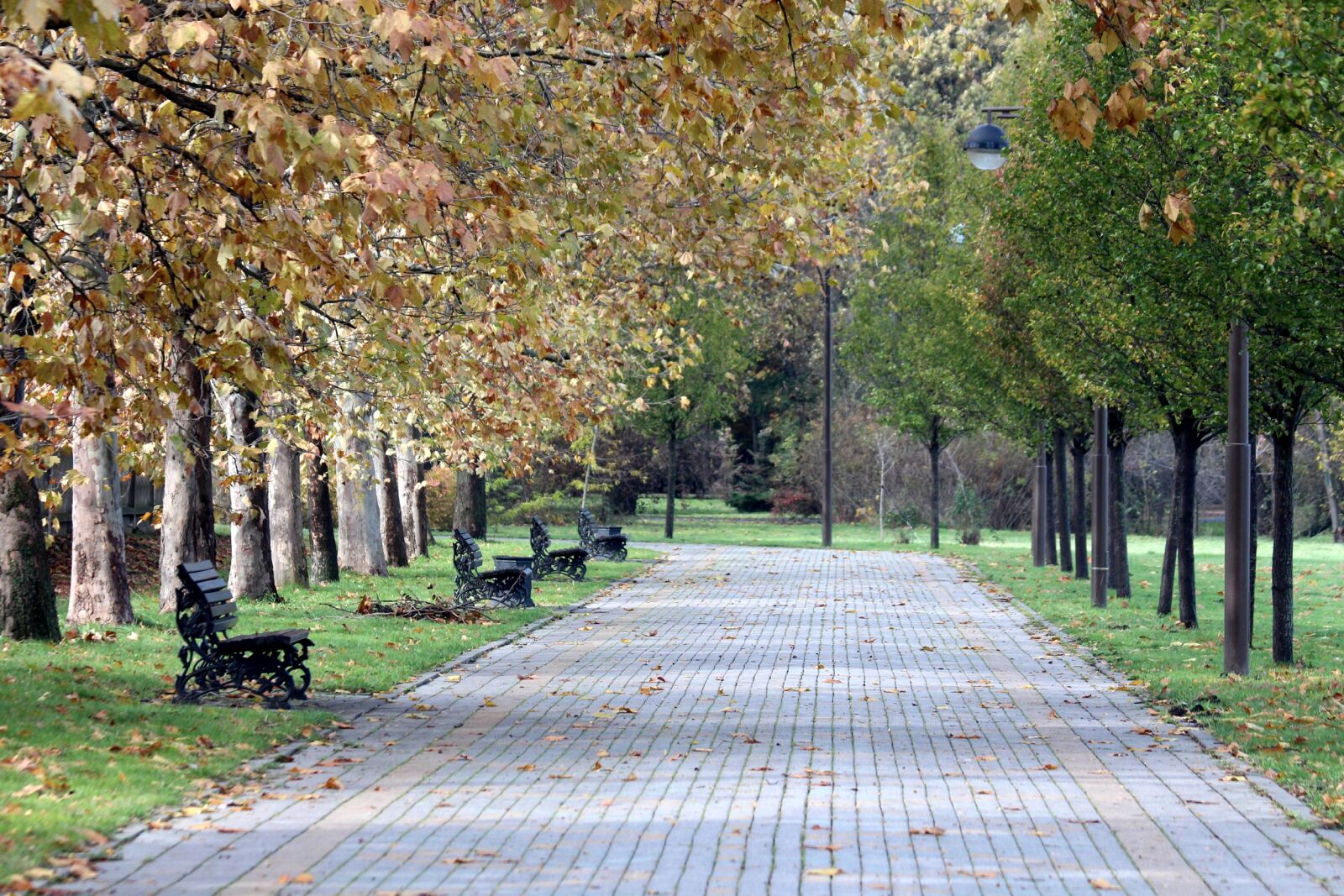 Canon EOS 650D (EOS Rebel T4i / EOS Kiss X6i) sample photo. Park, autumn, golden autumn photography