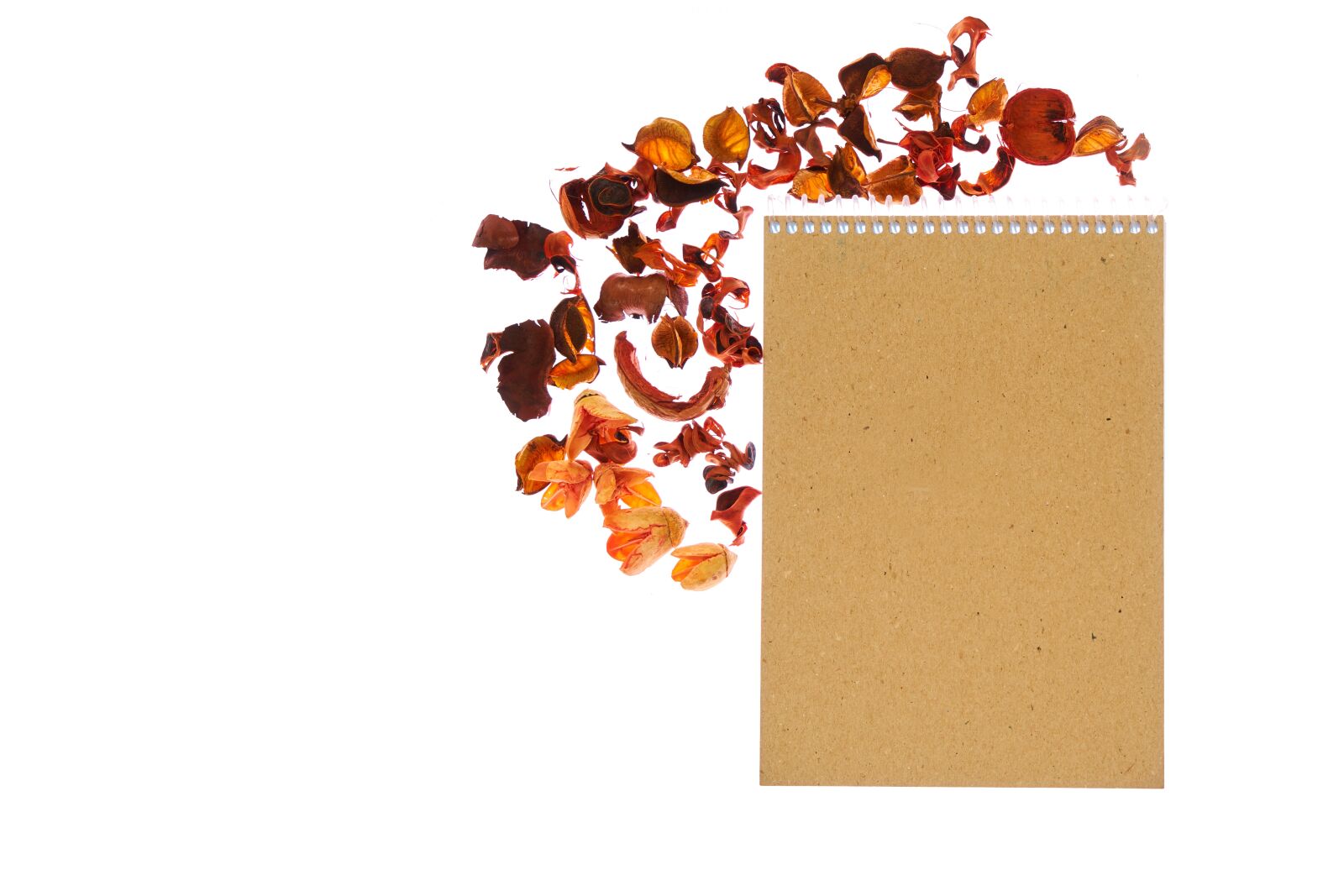 Sony a7R II sample photo. Notebook, flower, paper photography