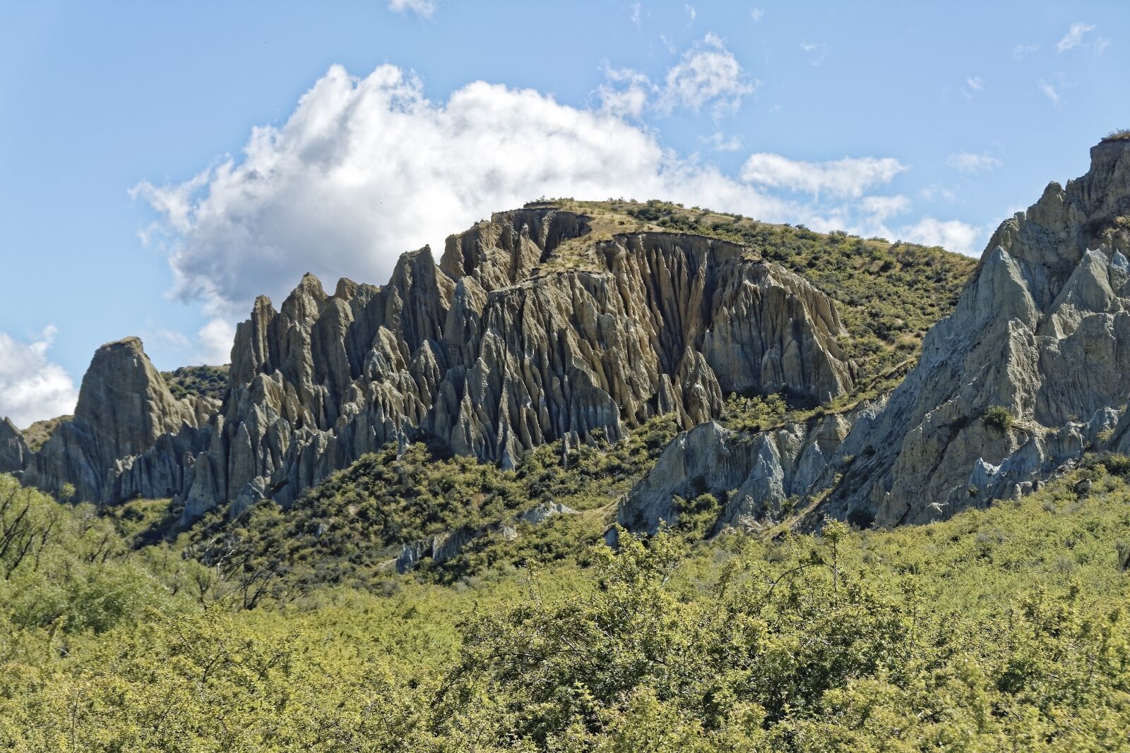 Nikon D500 sample photo. New zealand, clay cliffs photography