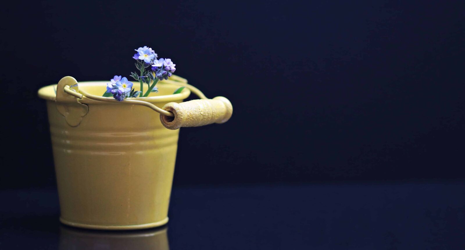 Canon EOS 80D sample photo. Still life, bucket, metal photography