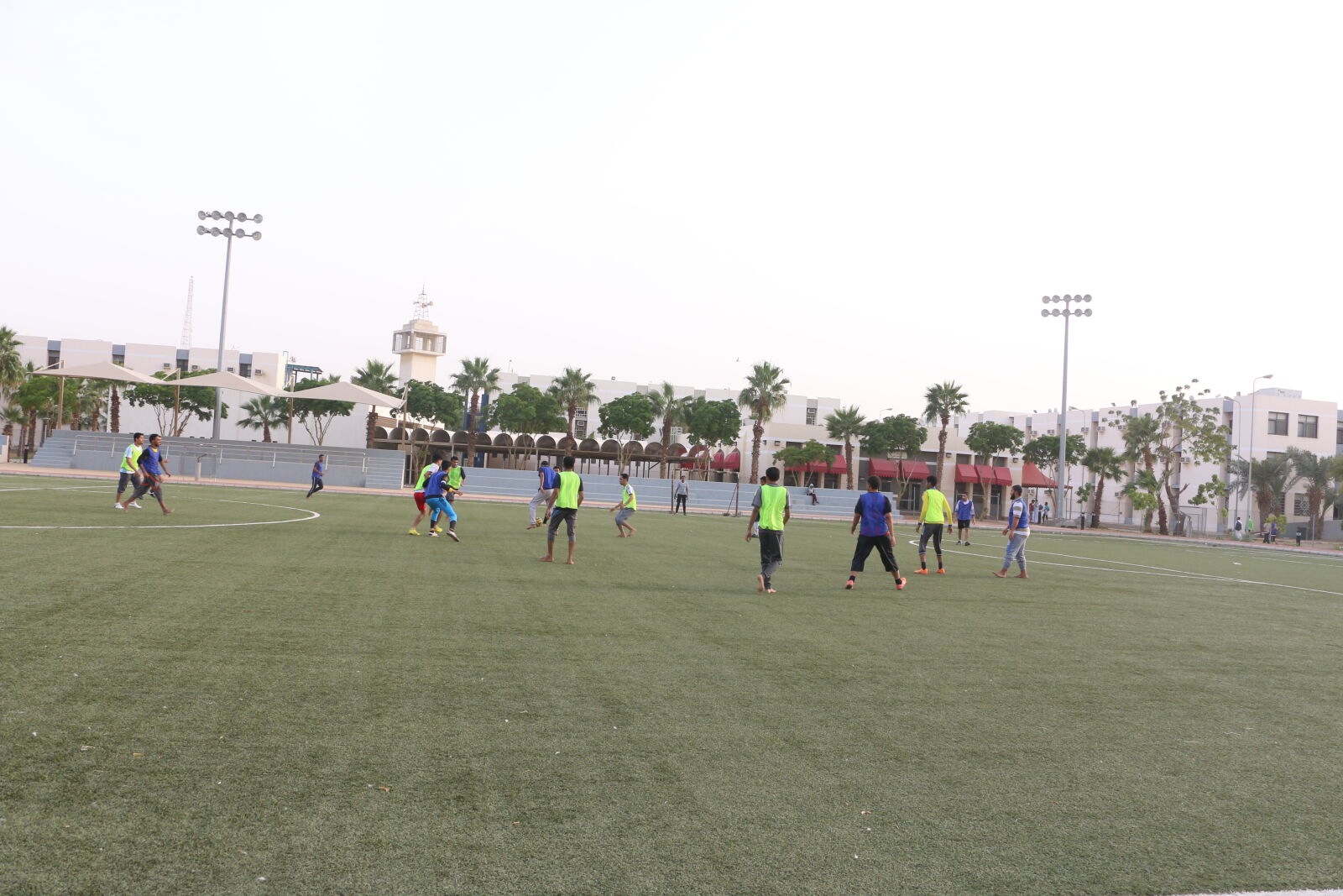 Canon EOS 70D sample photo