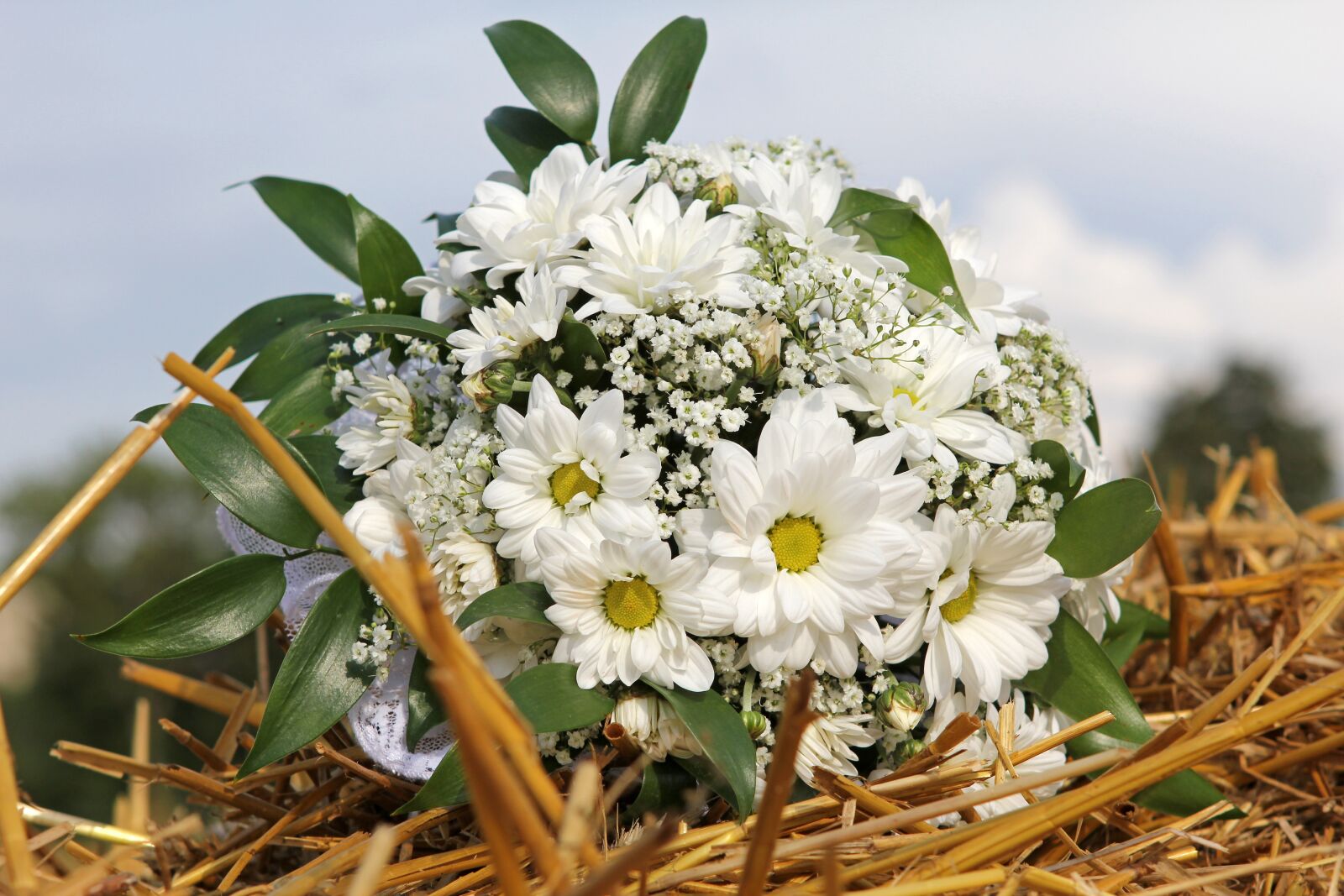 Canon EOS 60D + Canon EF 24-70mm F2.8L USM sample photo. Bouquet, bridal bouquet, wedding photography