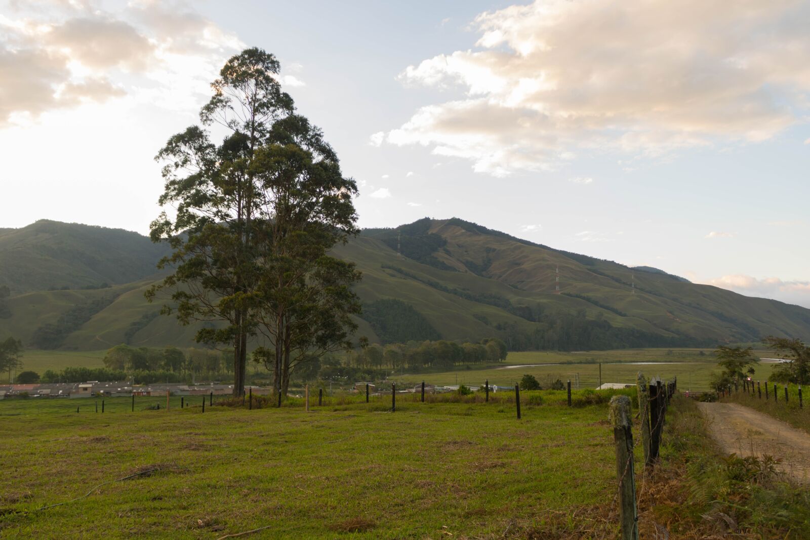 Canon EOS 750D (EOS Rebel T6i / EOS Kiss X8i) sample photo. Mountain, trees, green photography