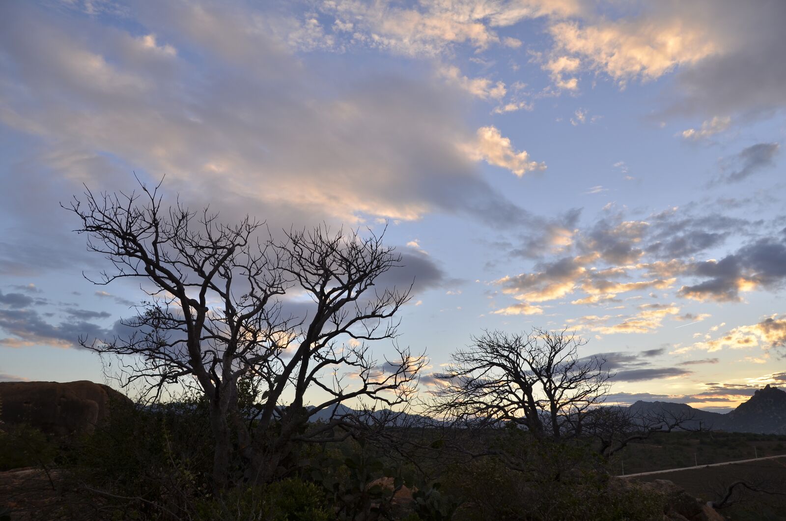 Nikon D7000 sample photo. Sky, sunset, tree photography