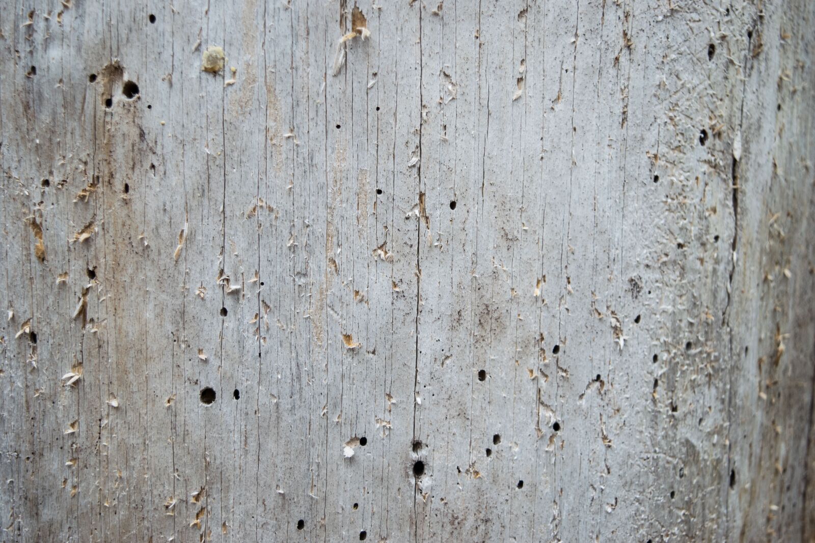 Nikon D3300 sample photo. Old, rough, dirty photography