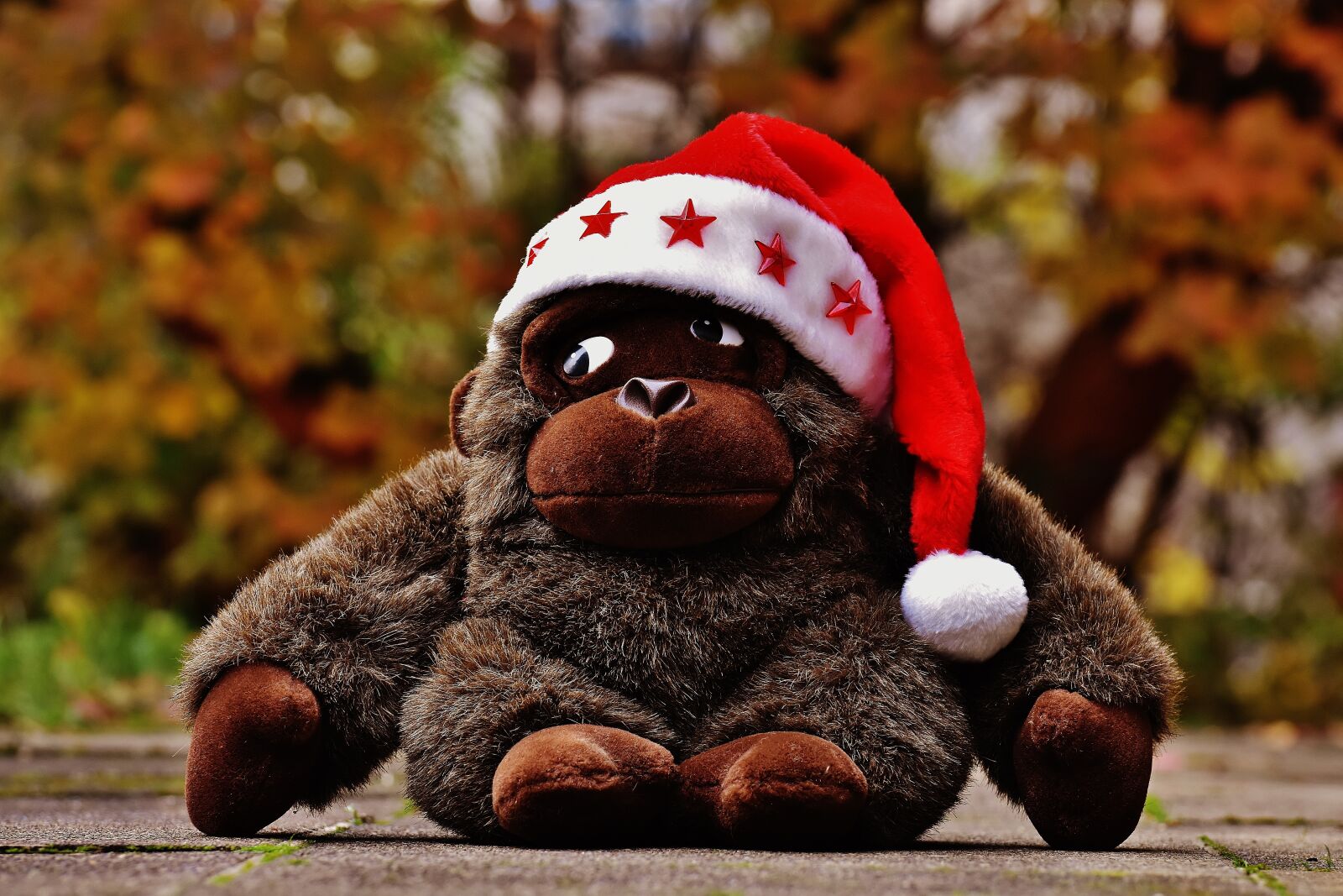 Nikon D7200 sample photo. Christmas, santa hat, stuffed photography