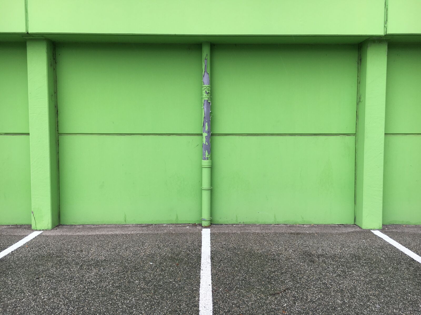 Apple iPhone 6s sample photo. Background, green, wall photography