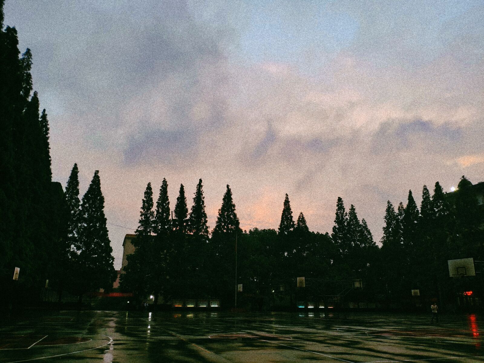 Xiaomi MIX 2S sample photo. Sunset, tree, film photography