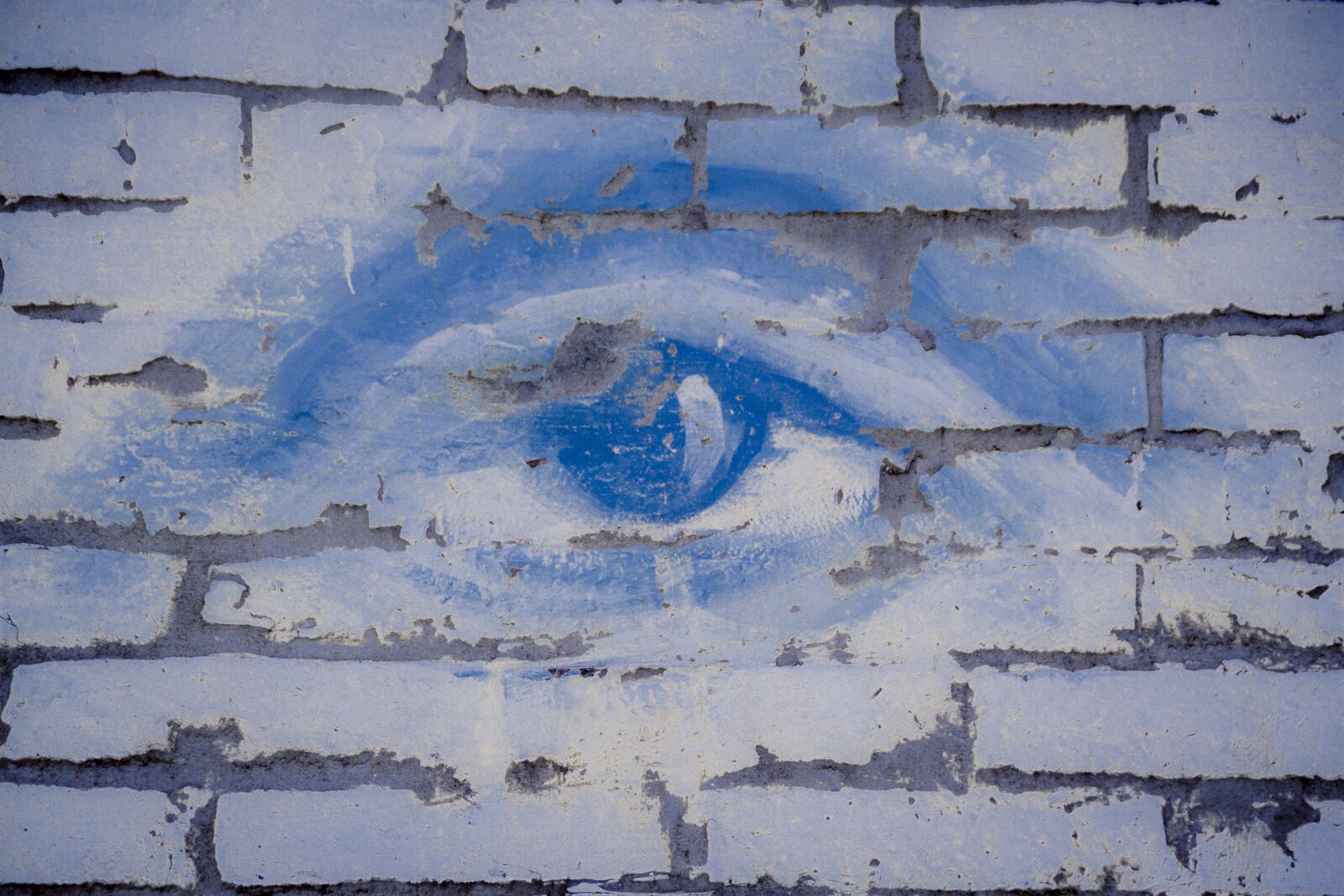 Canon EOS 500D (EOS Rebel T1i / EOS Kiss X3) sample photo. Eye, blue, blue eye photography
