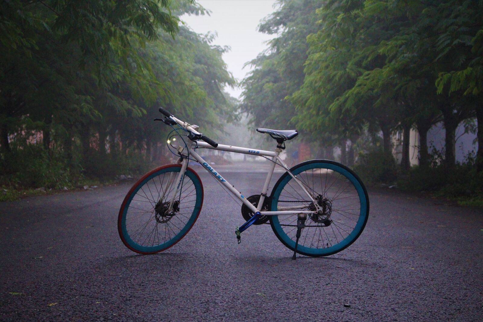 Canon EOS 700D (EOS Rebel T5i / EOS Kiss X7i) sample photo. Bicycle, morning, fog photography