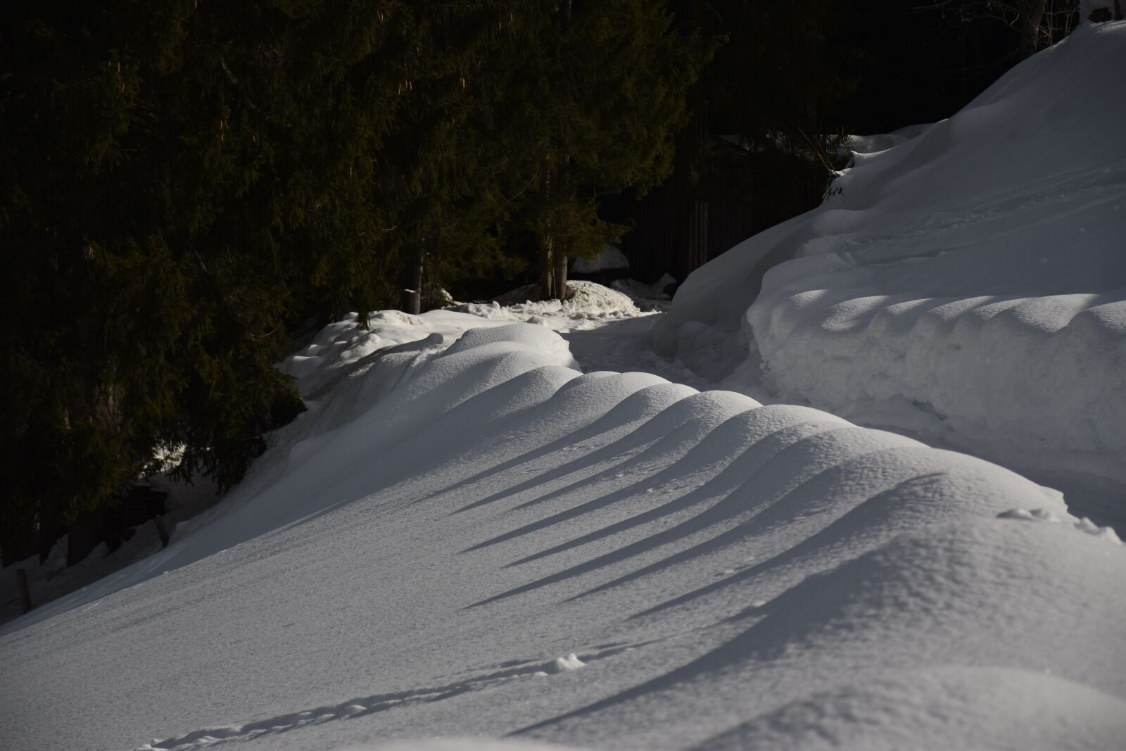 Nikon D5500 sample photo. Nature, snow, winter photography