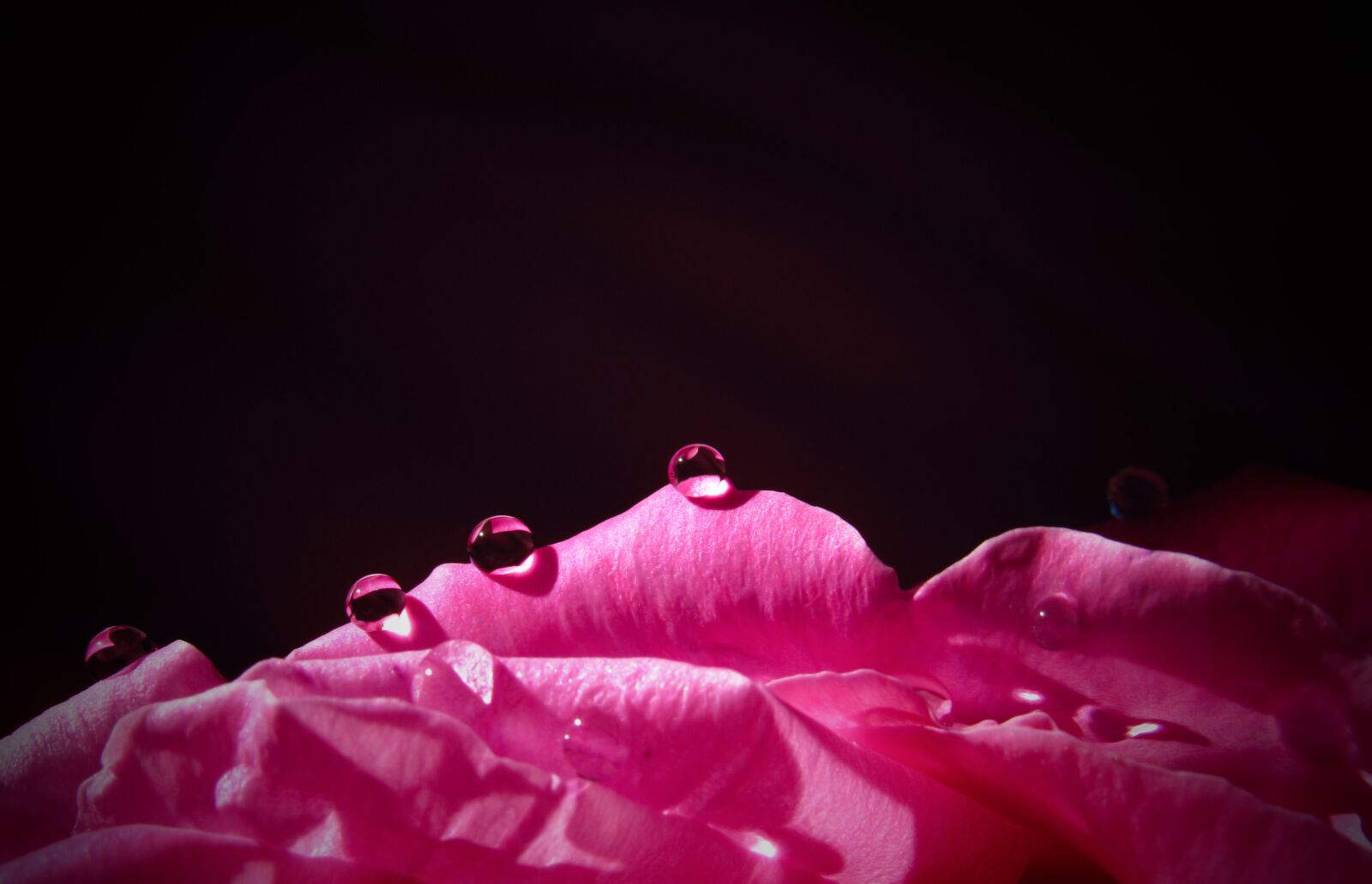Canon PowerShot SX530 HS sample photo. Droplet, drop, waterdrop photography