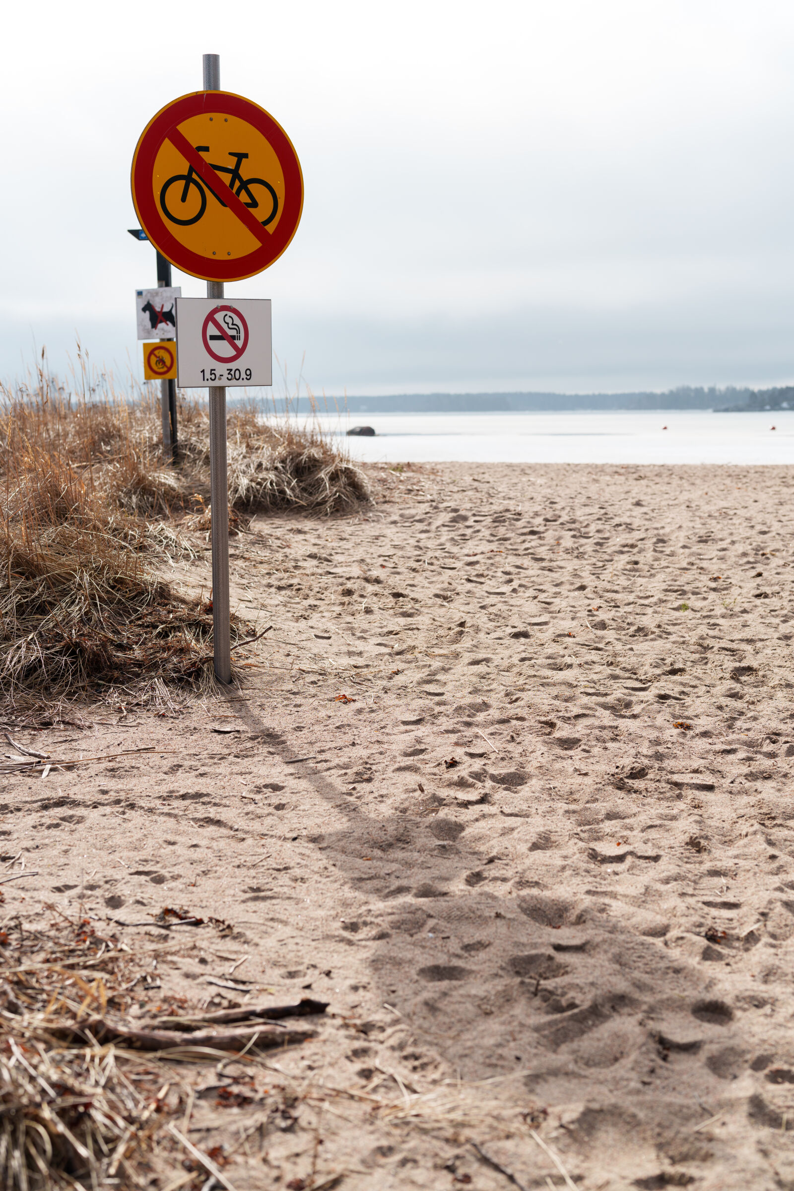 Sony a7R V sample photo. No bicycle zone photography