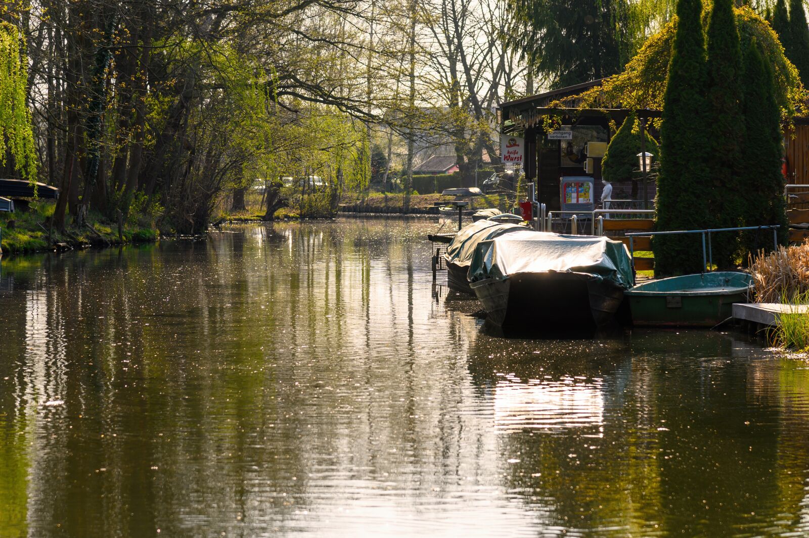 Nikon Z6 sample photo. River, water, nature photography