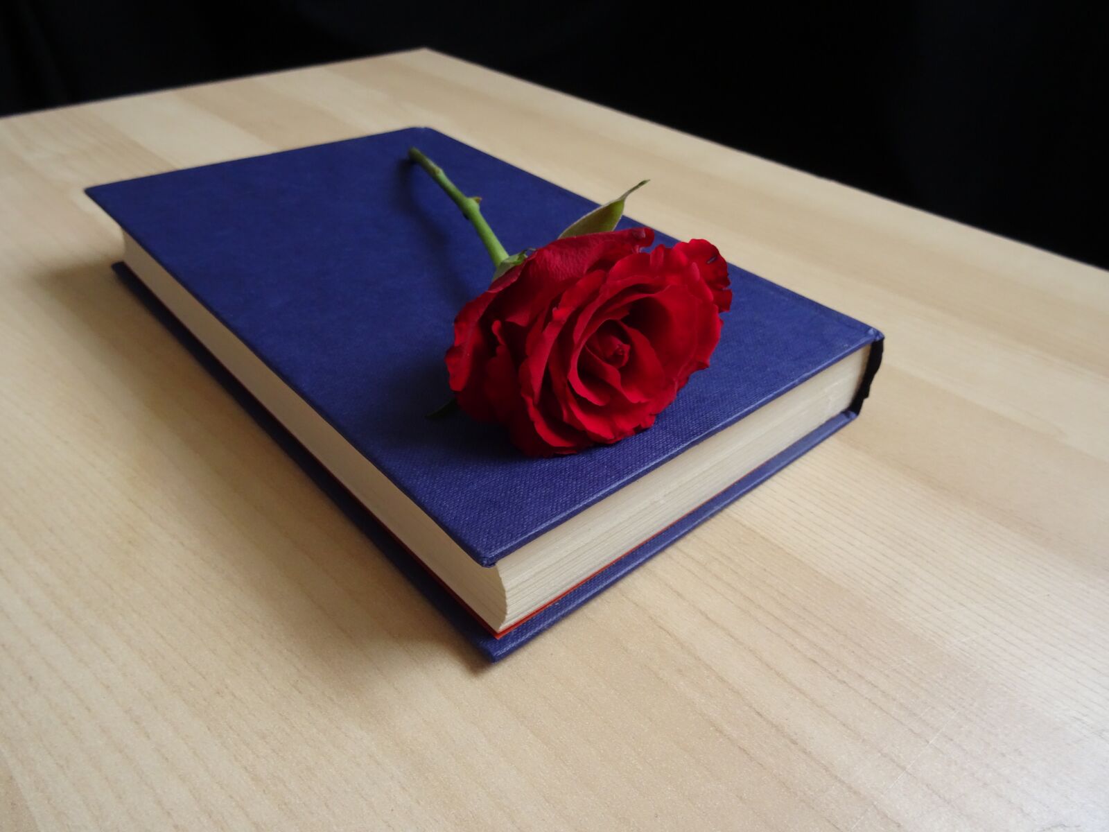 Sony DSC-HX50 sample photo. Rose, book, romance novel photography