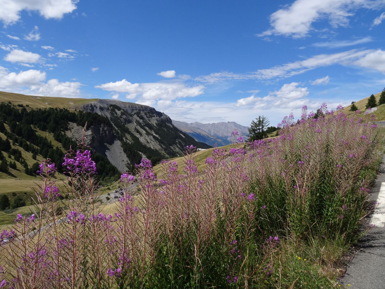 Sony DSC-HX50 sample photo. Landscape, mountain, flower photography