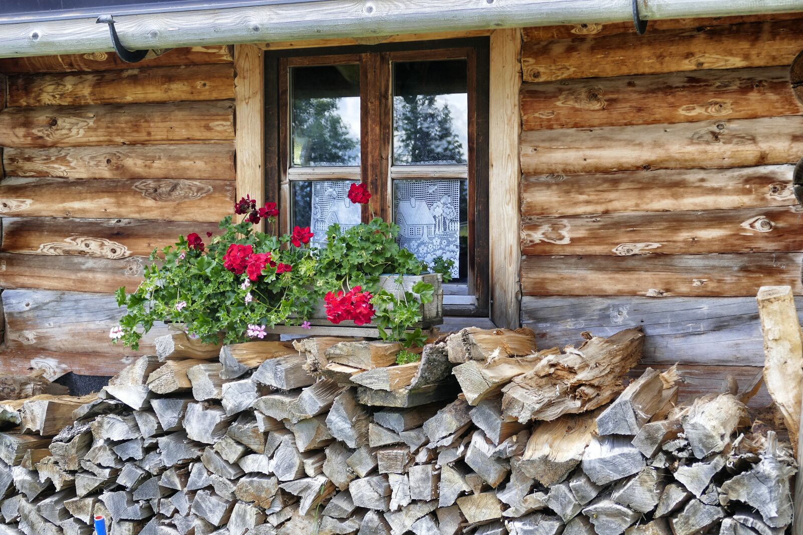 Panasonic Lumix DMC-FZ1000 sample photo. Wood, house, woods photography