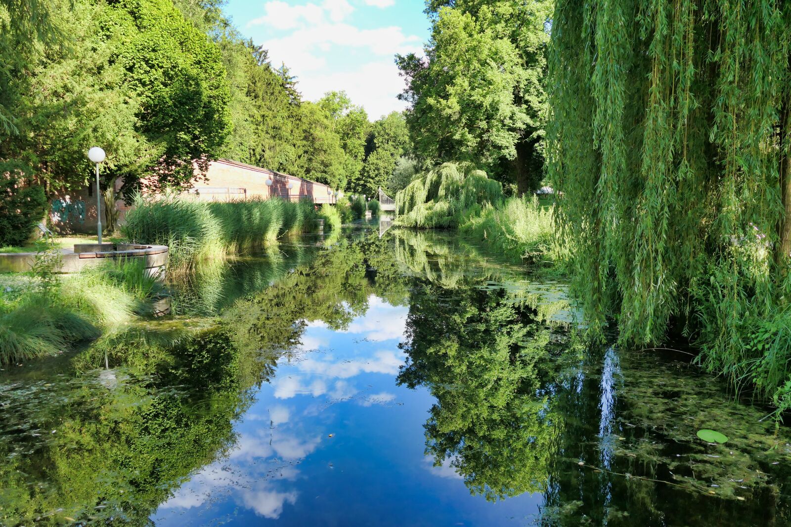 Panasonic DC-FZ10002 sample photo. New ulm, glacis, park photography