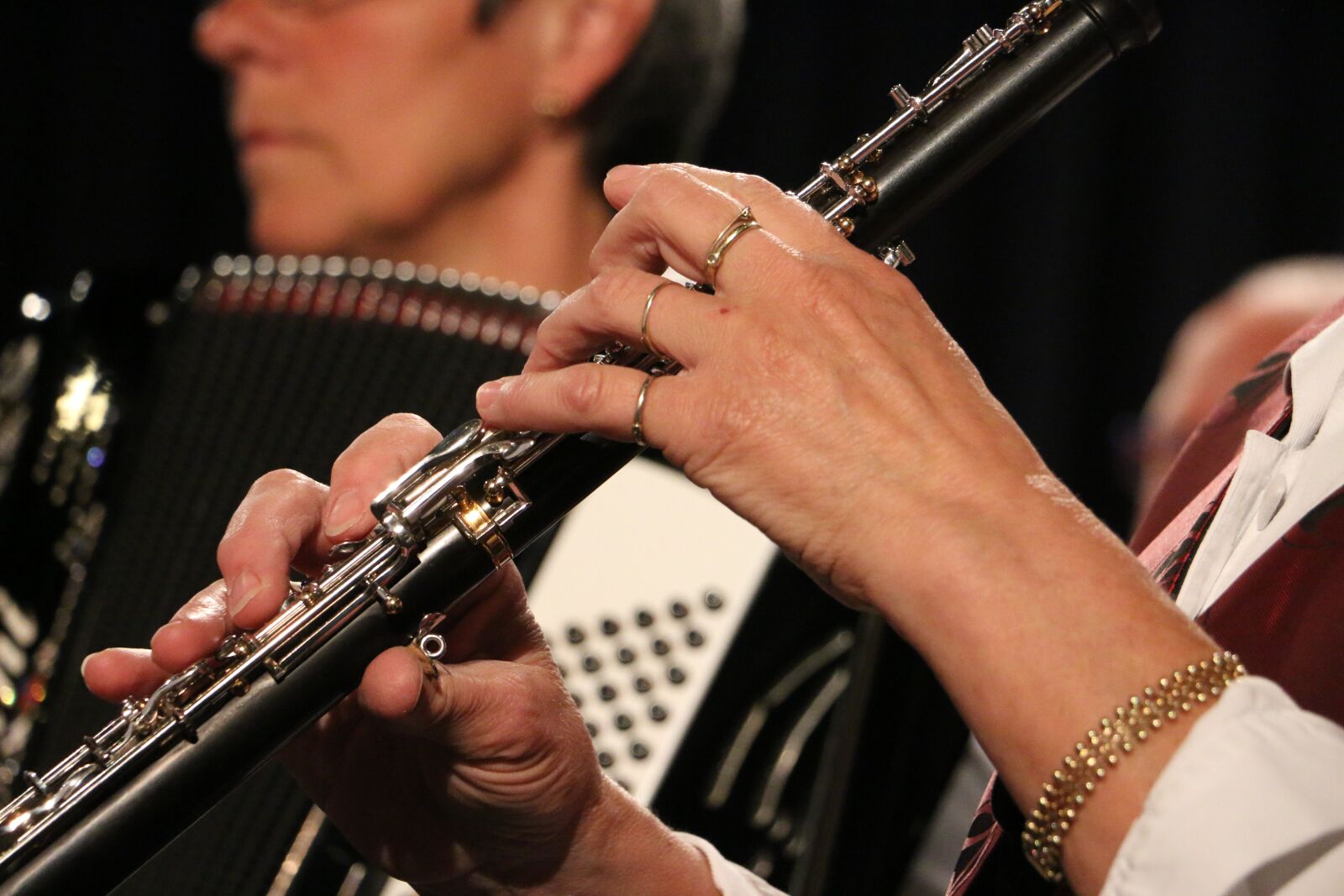 Canon EOS 70D sample photo. Musical instrument, orchestra, music photography