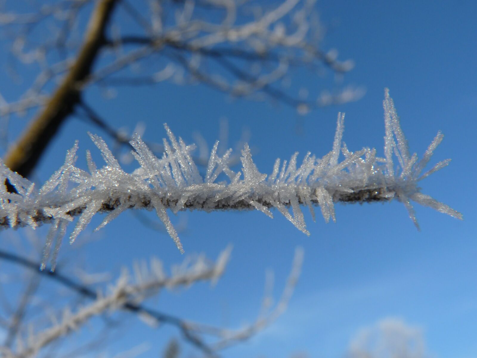 Panasonic Lumix DMC-FZ28 sample photo. Hoarfrost, eiskristalle, frost photography