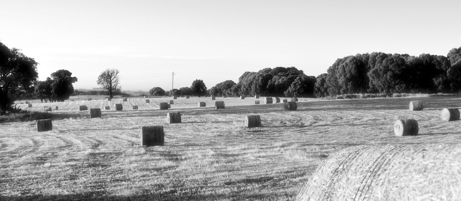 Nikon D3200 sample photo. Hay bale, farm, morning photography