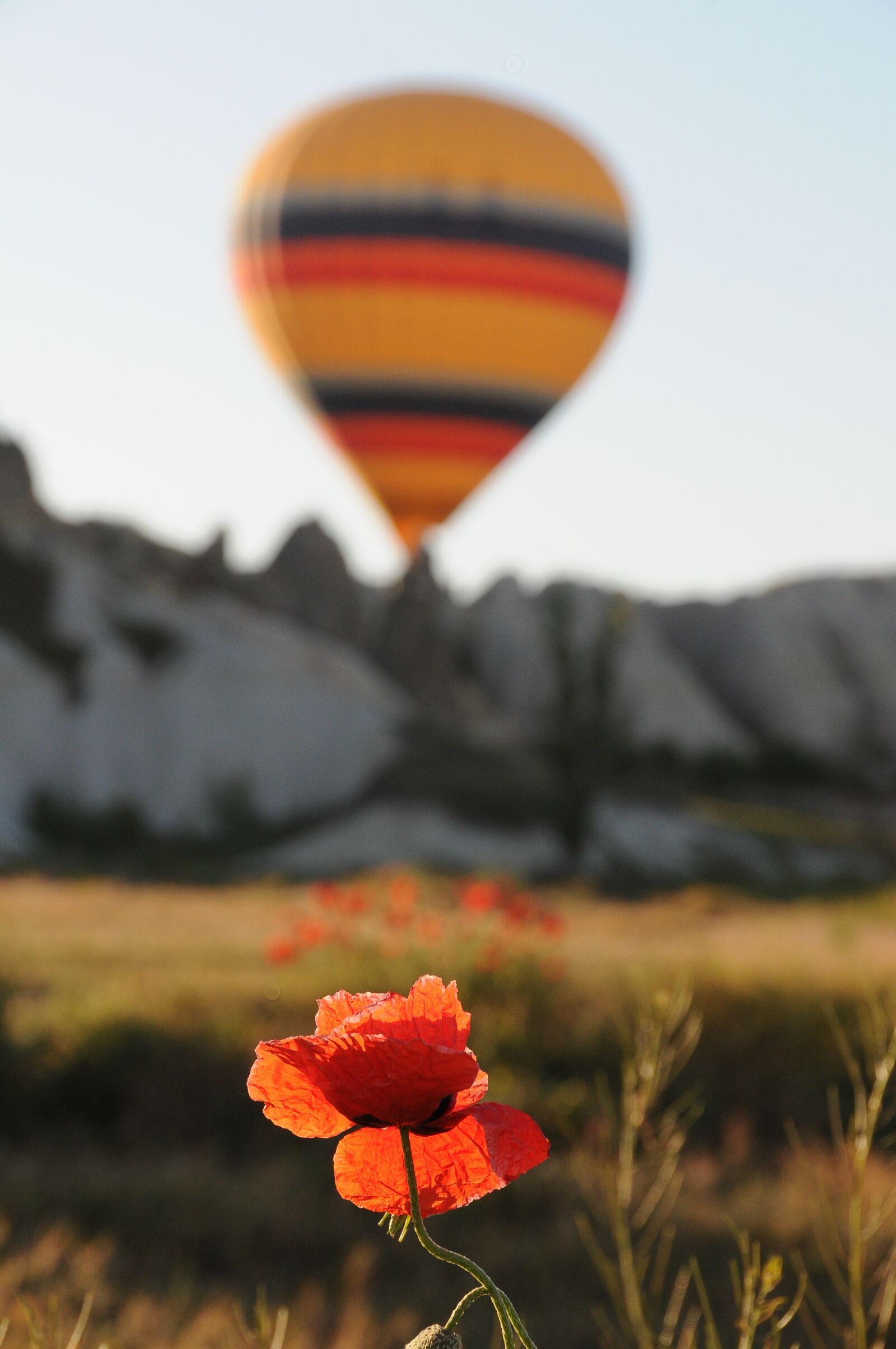 Nikon D300 sample photo. Balloon, ballooning, cappadocia photography
