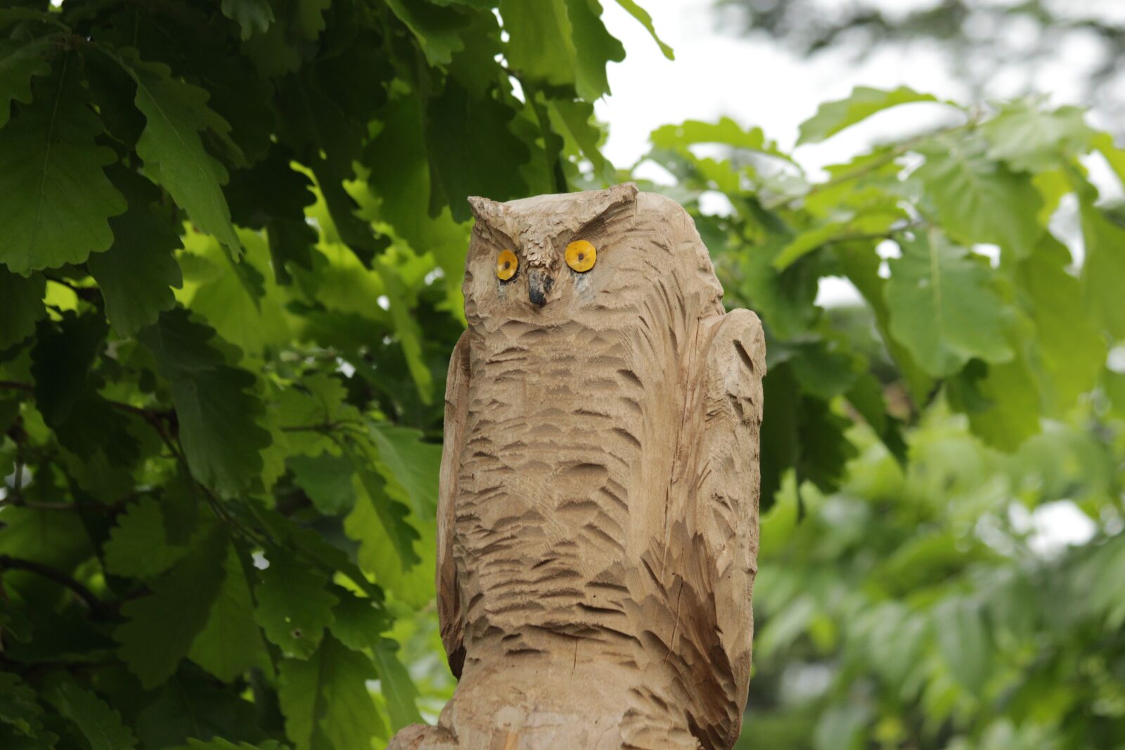 Canon EOS 650D (EOS Rebel T4i / EOS Kiss X6i) sample photo. Owl, sculpture, wood photography