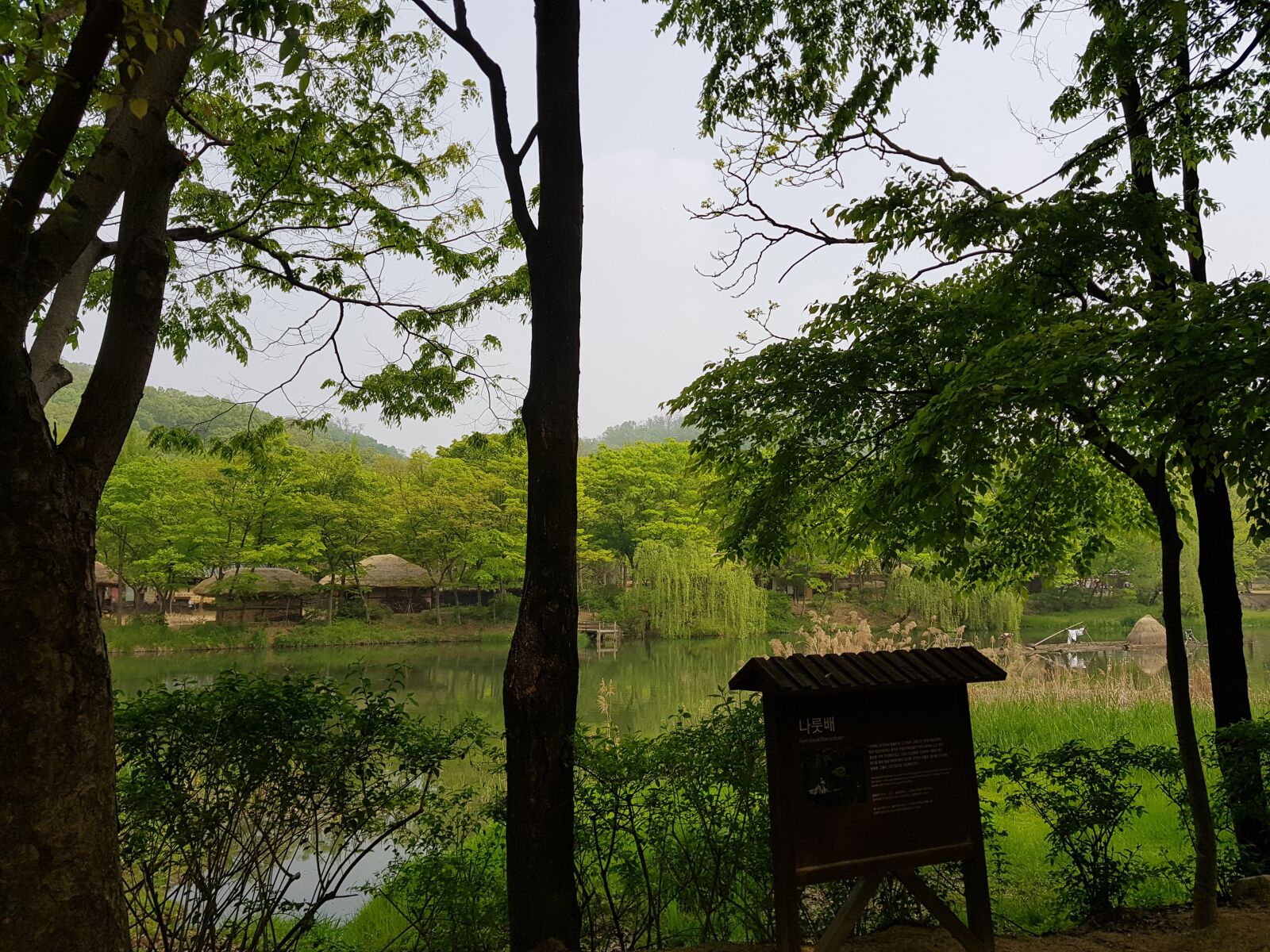 Samsung Galaxy S8+ sample photo. 자연, 숲속, 경치 photography