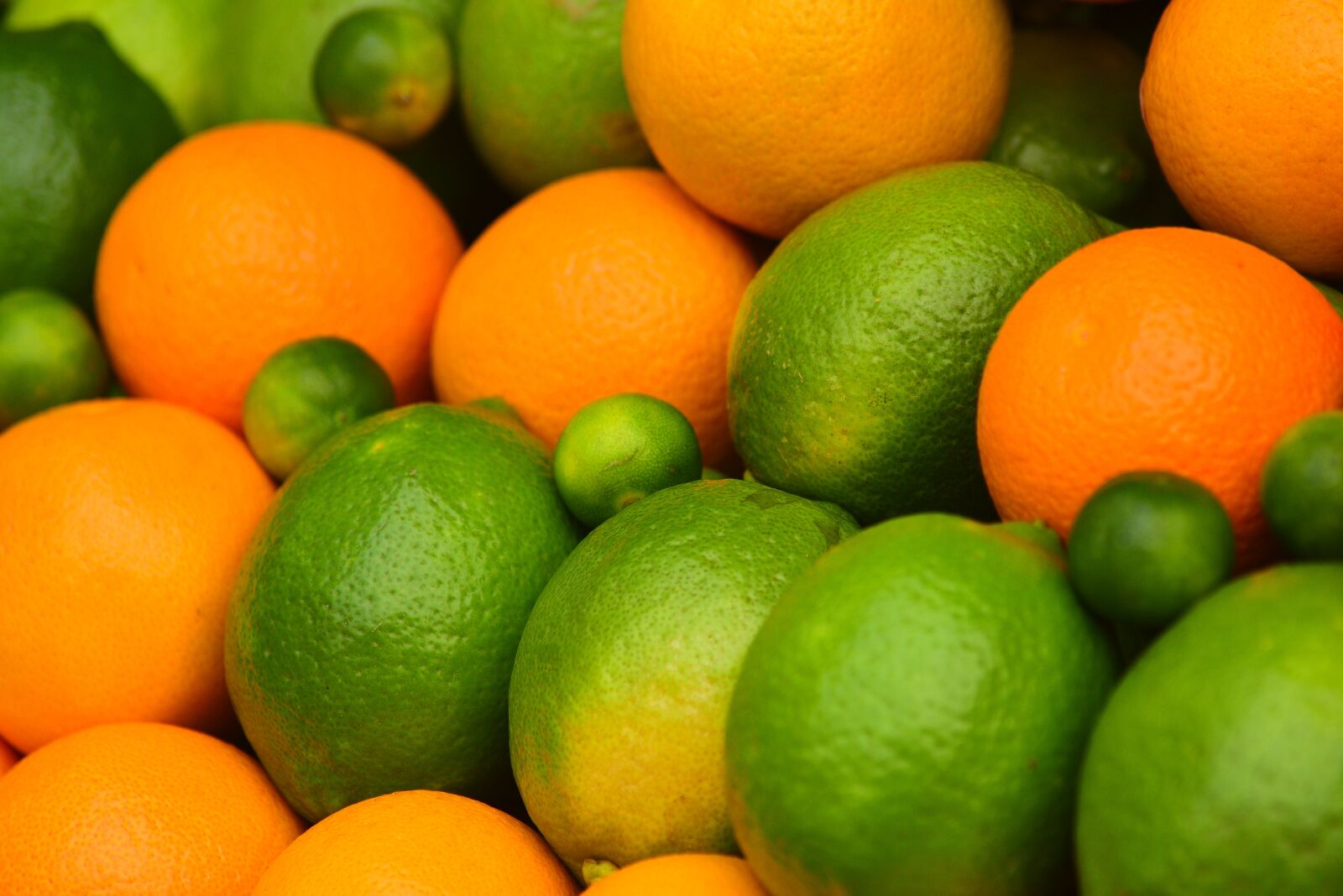 Nikon D750 sample photo. Kumquat, orange, fruit photography