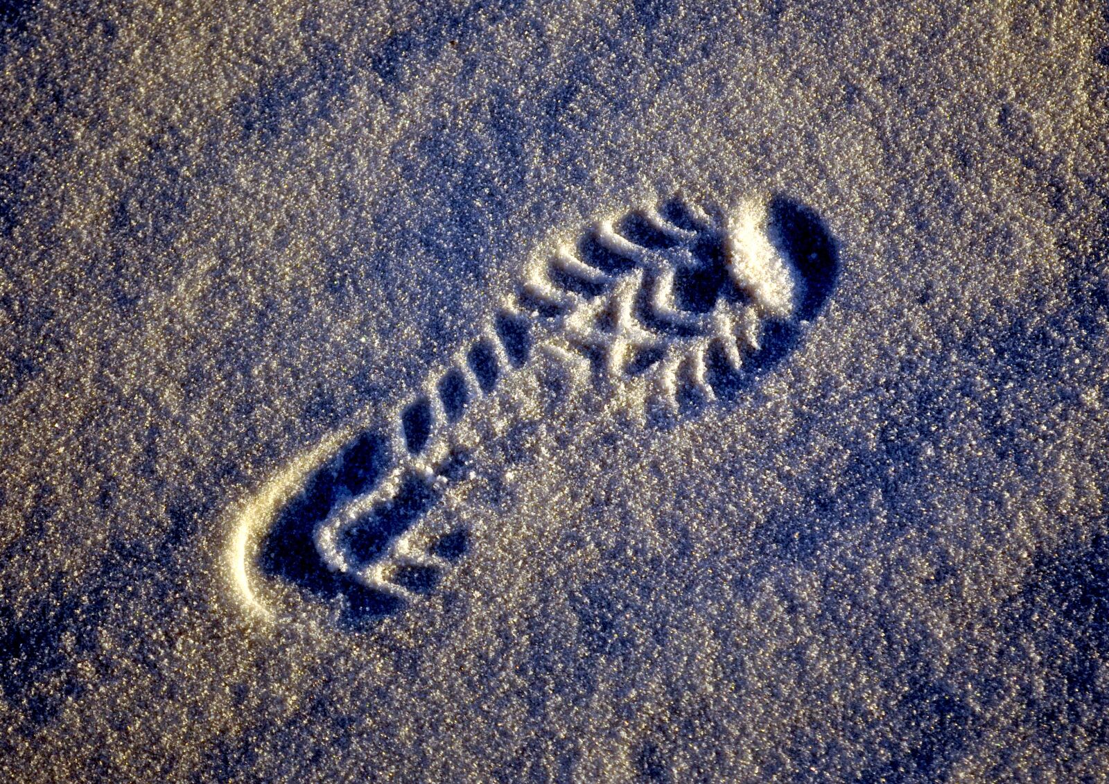 Nikon D90 sample photo. Shoe print, sole, reprint photography