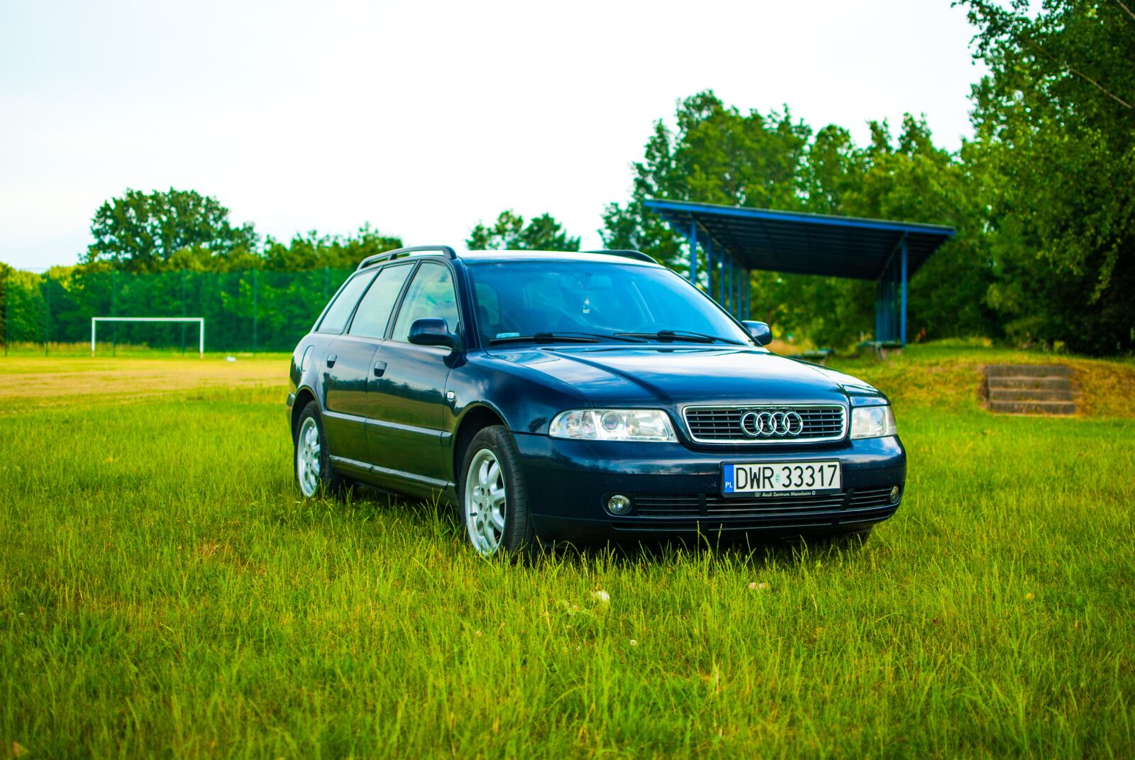 Nikon D60 sample photo. Audi, a4, meadow photography