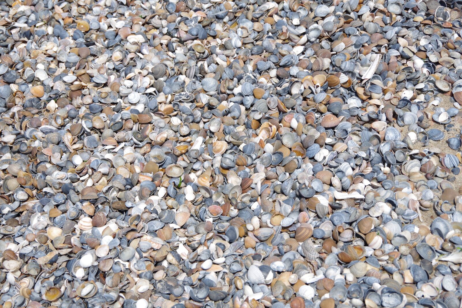 Pentax K-S2 sample photo. Pattern, texture, textiles photography