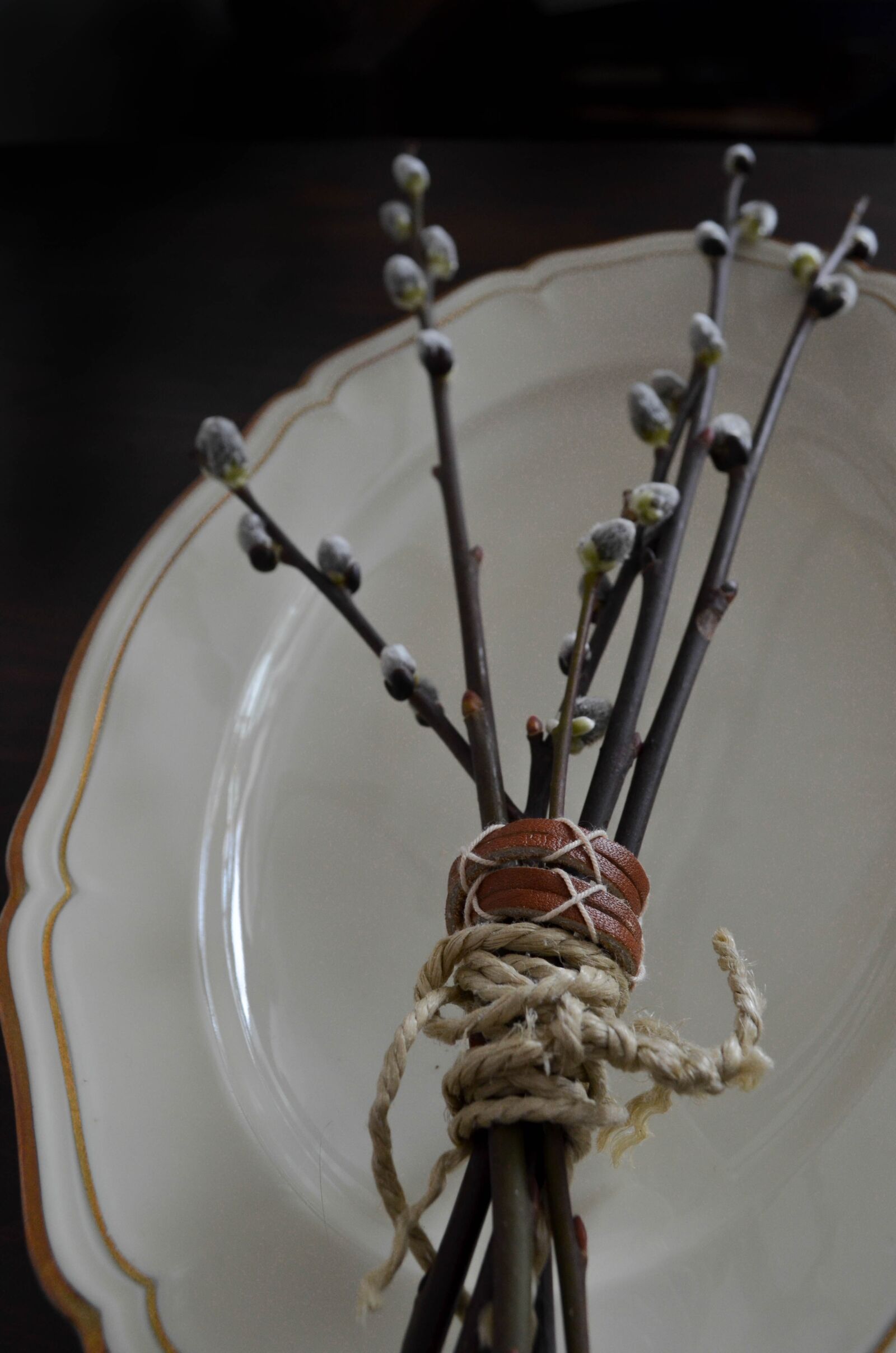 Nikon D5100 sample photo. Branches, easter, plate photography