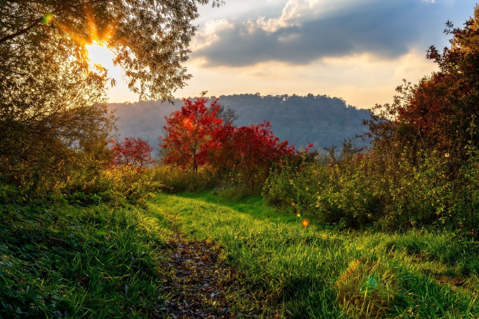 Nikon D3300 sample photo. Landscape, idyll, nature photography