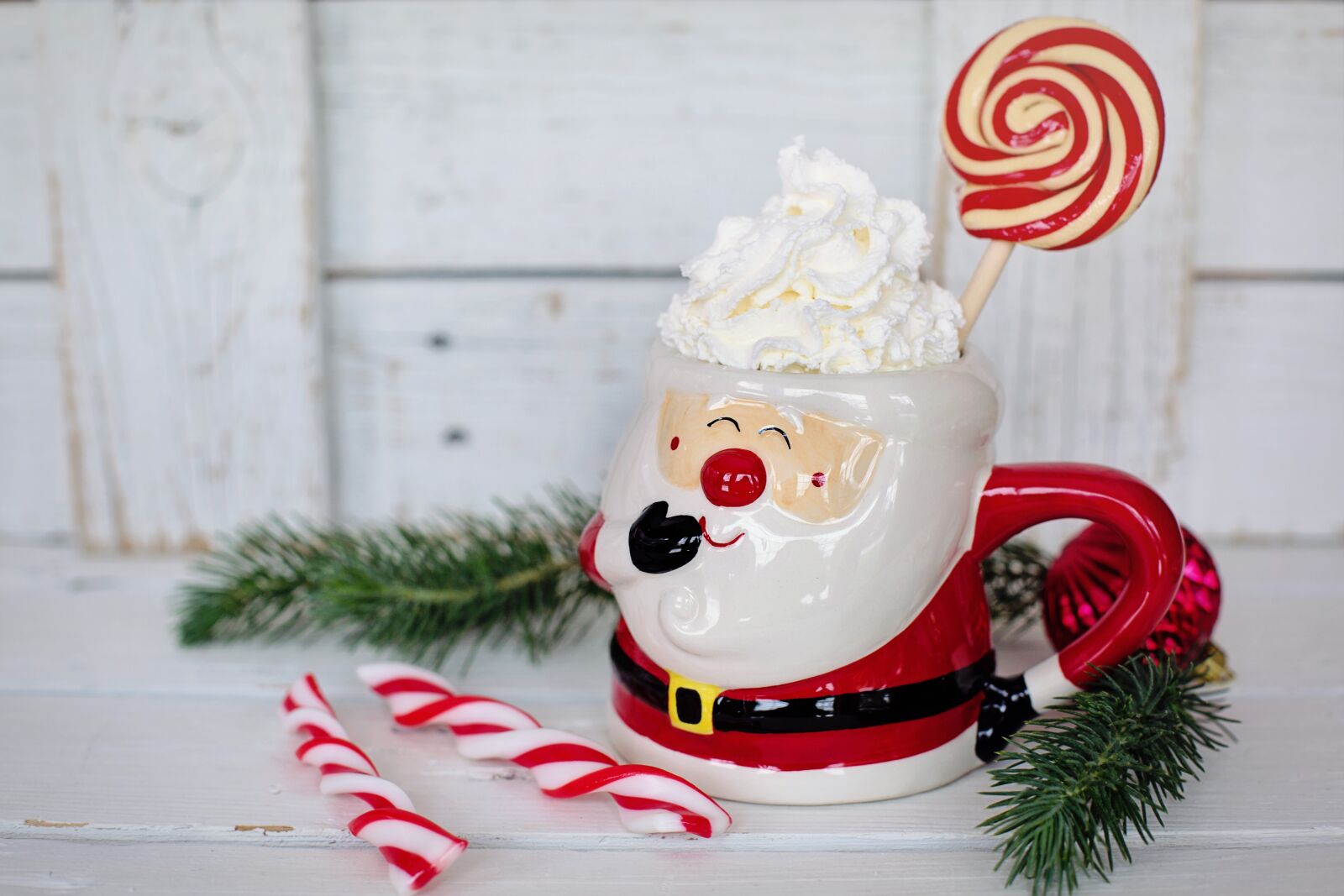 Canon EF 50mm F1.4 USM sample photo. Hot chocolate, santa mug photography