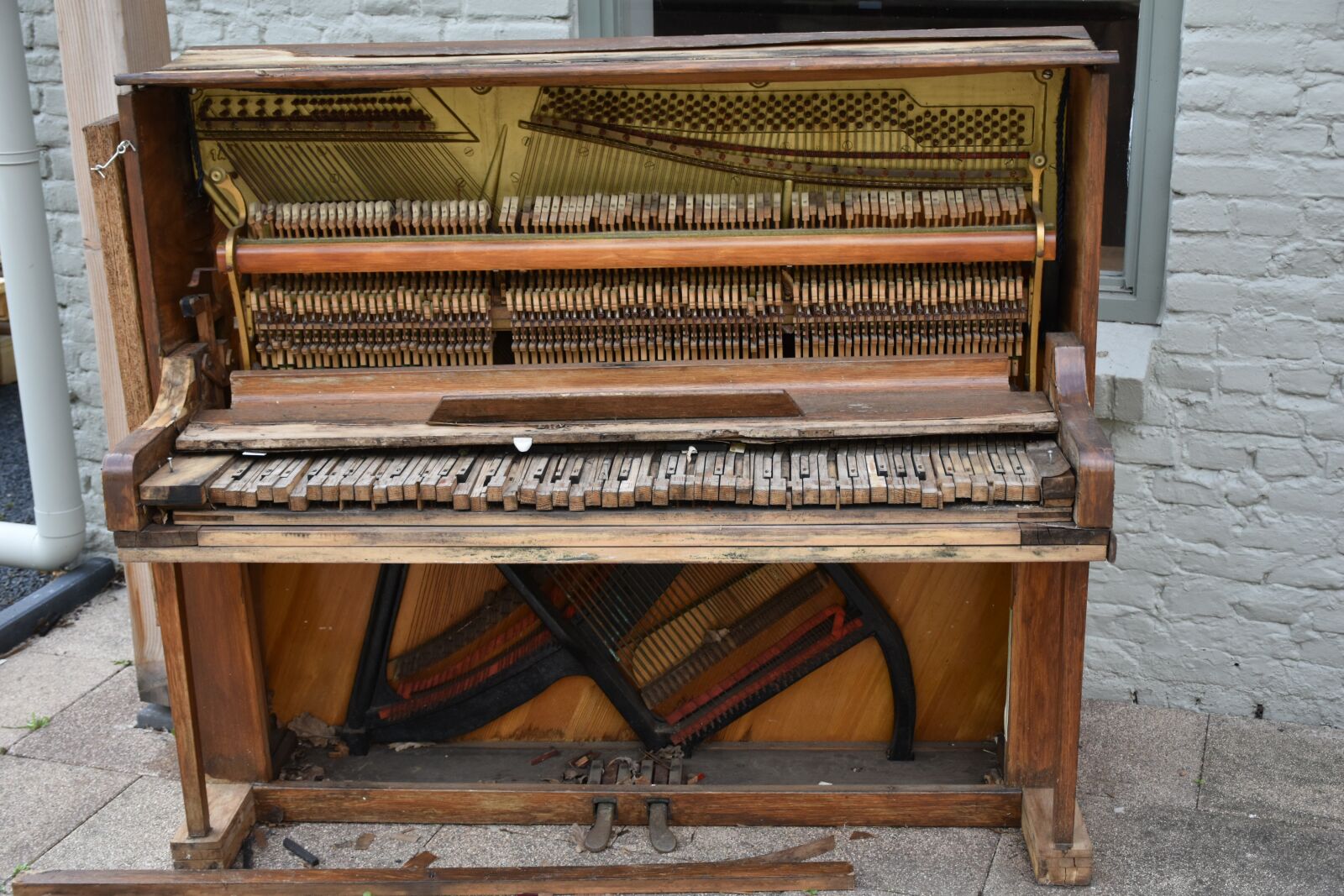 Nikon D3500 sample photo. Piano, water, music photography