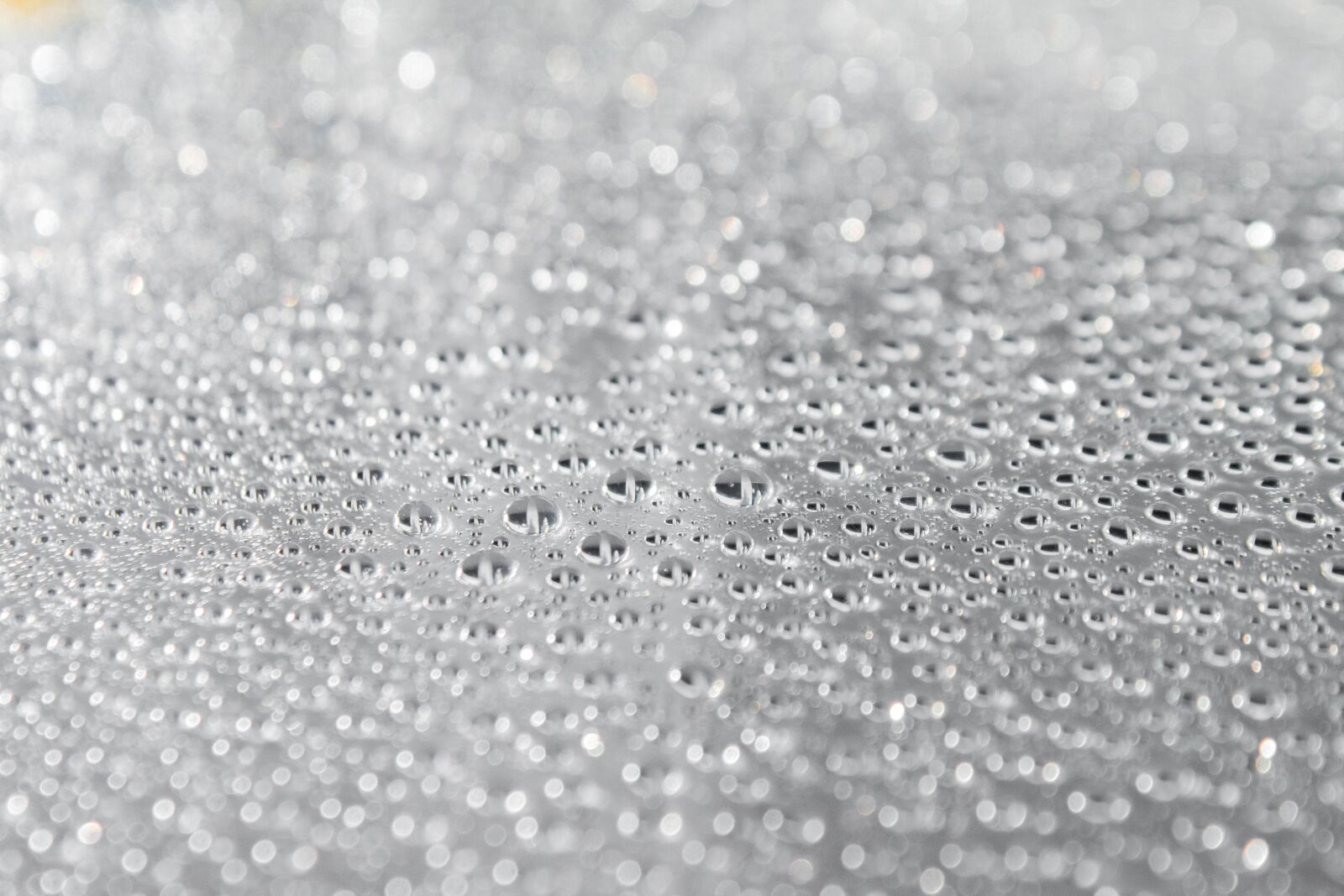 Canon EOS 70D sample photo. Splash, water, droplets photography