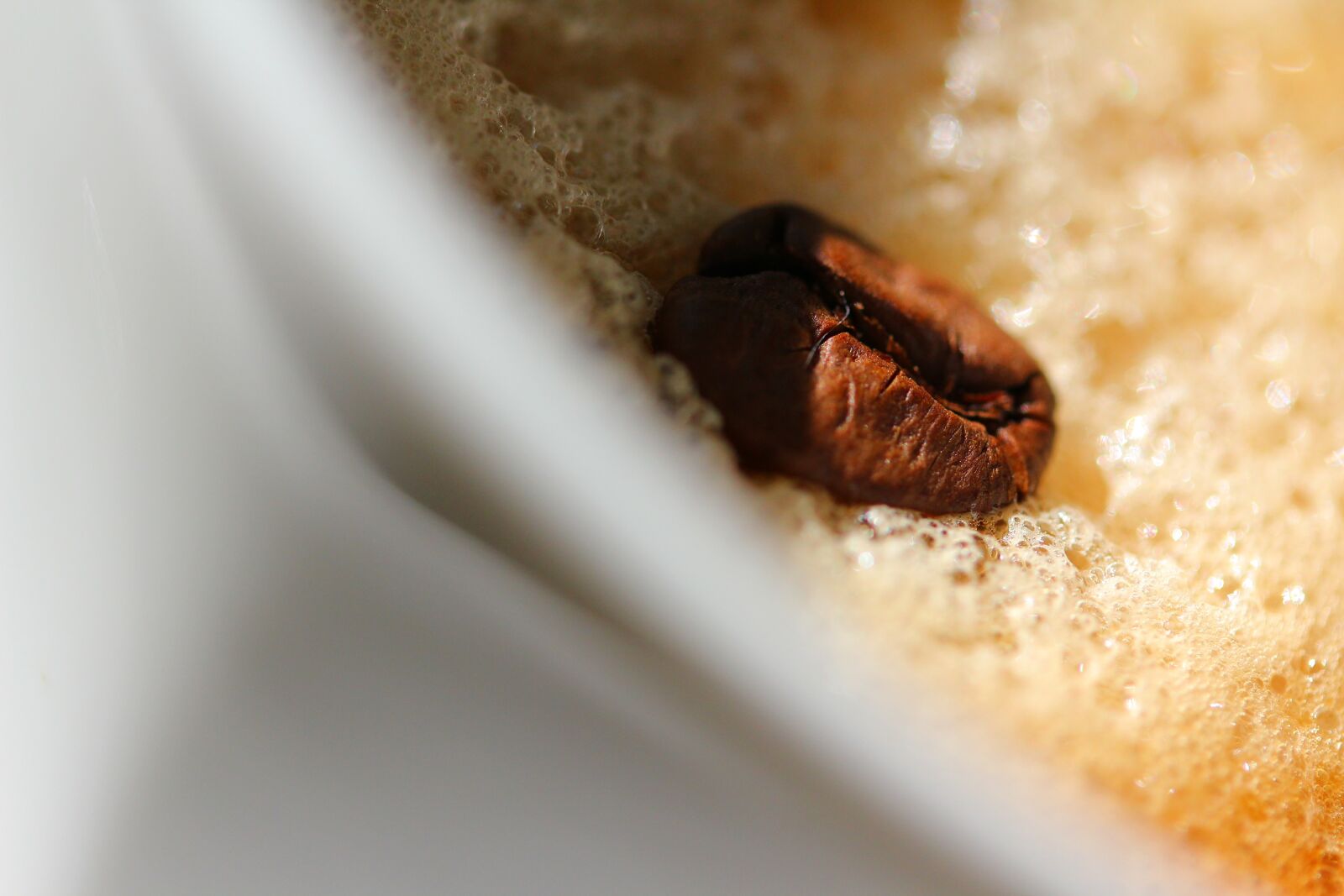 Canon EOS 550D (EOS Rebel T2i / EOS Kiss X4) sample photo. Coffee, coffee grain, cup photography