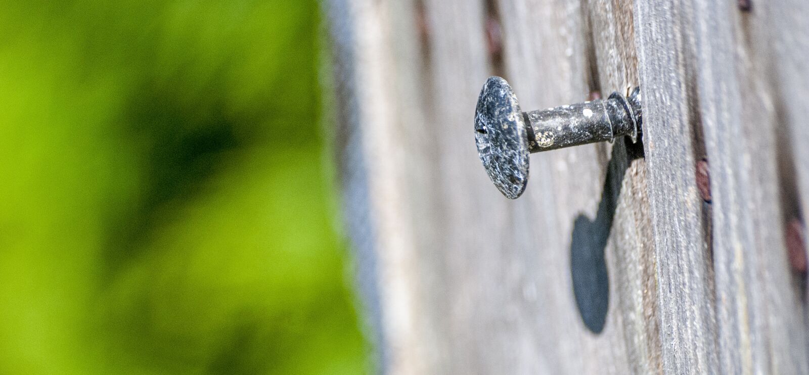 Nikon D80 sample photo. Screw, wood, macro photography