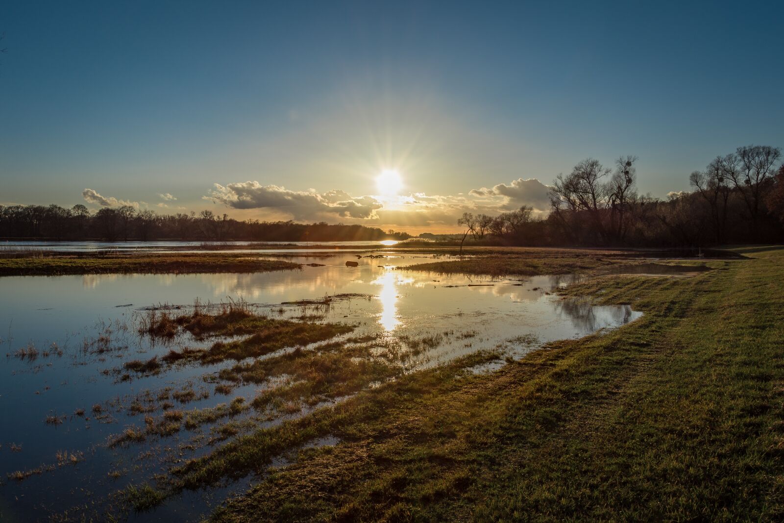 Nikon D7200 sample photo. Elbe, high water, evening photography