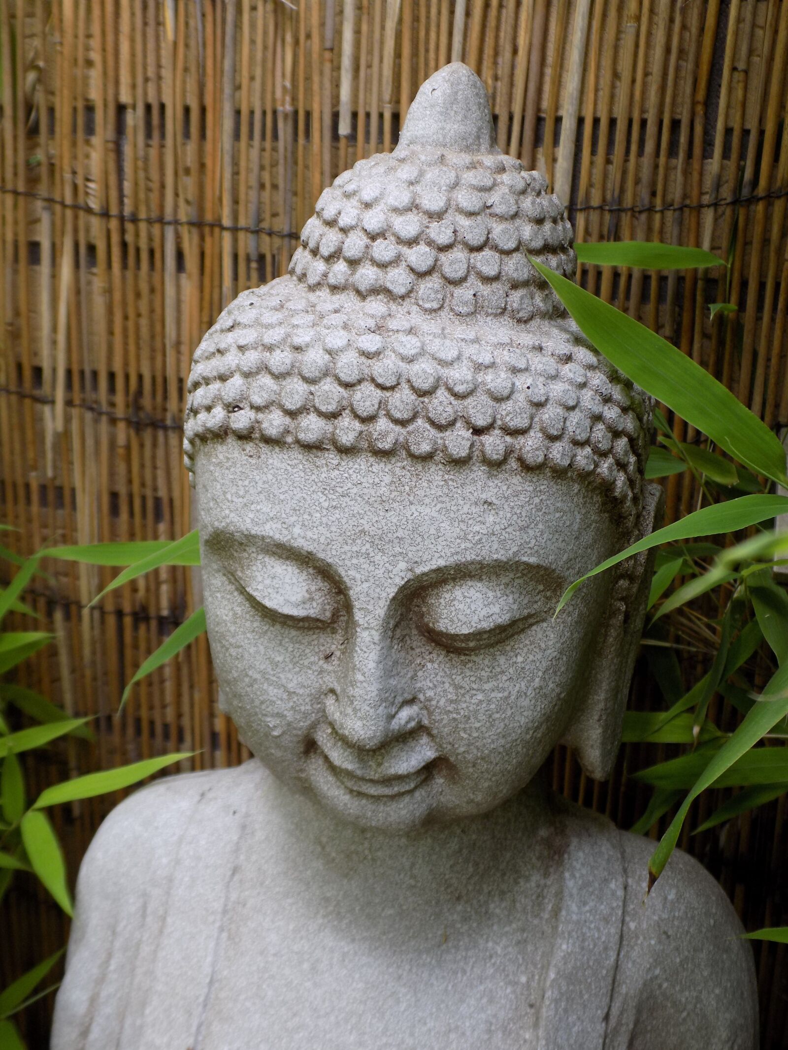 Nikon COOLPIX L340 sample photo. Buddha, zen, buddhism photography