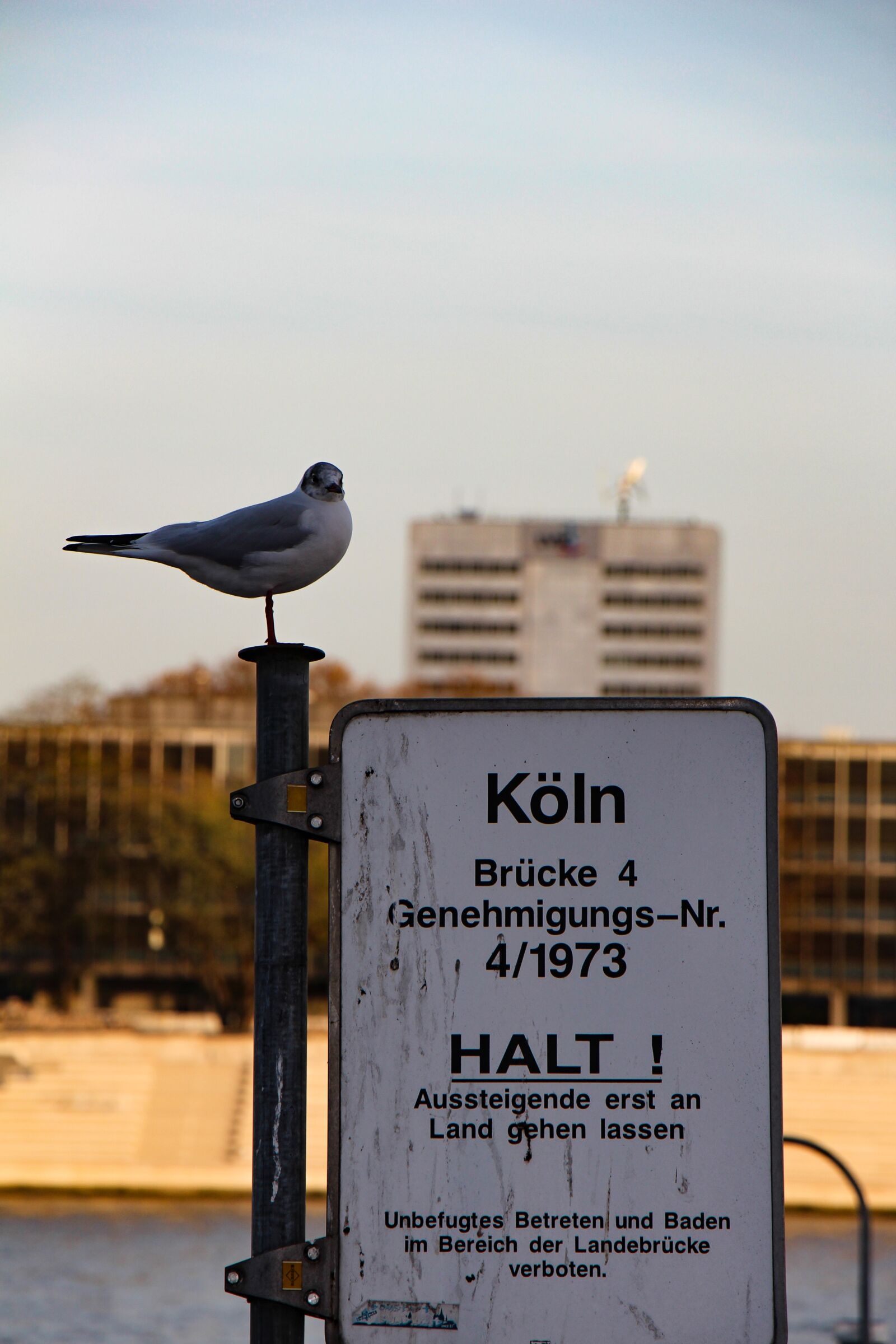 Canon EOS 700D (EOS Rebel T5i / EOS Kiss X7i) sample photo. Cologne, rhine, building photography